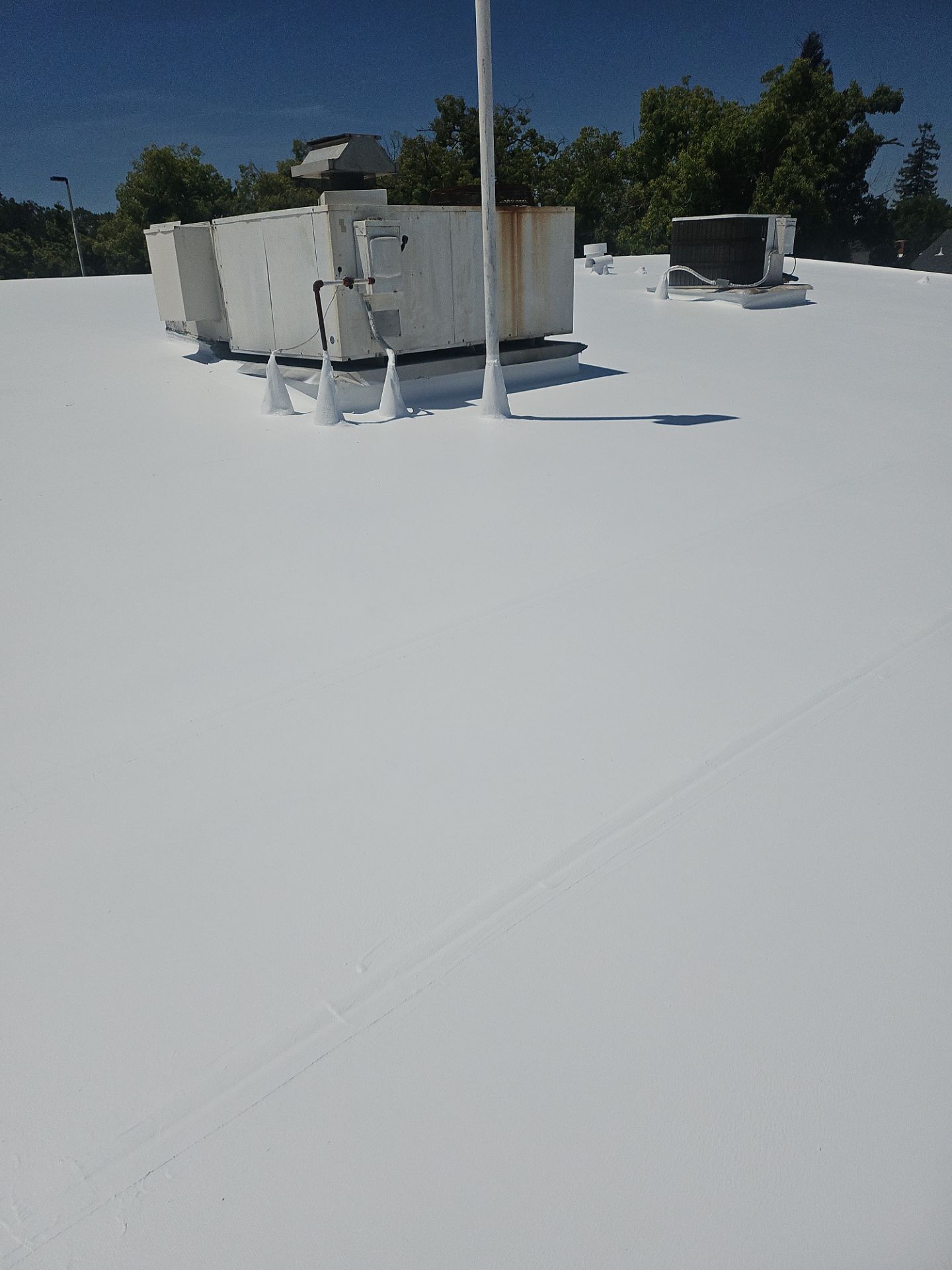 Single-ply restoration system using Benchmark/PUMA XL coatings over TPO single-ply roofing by Straight Edge Roofing Inc