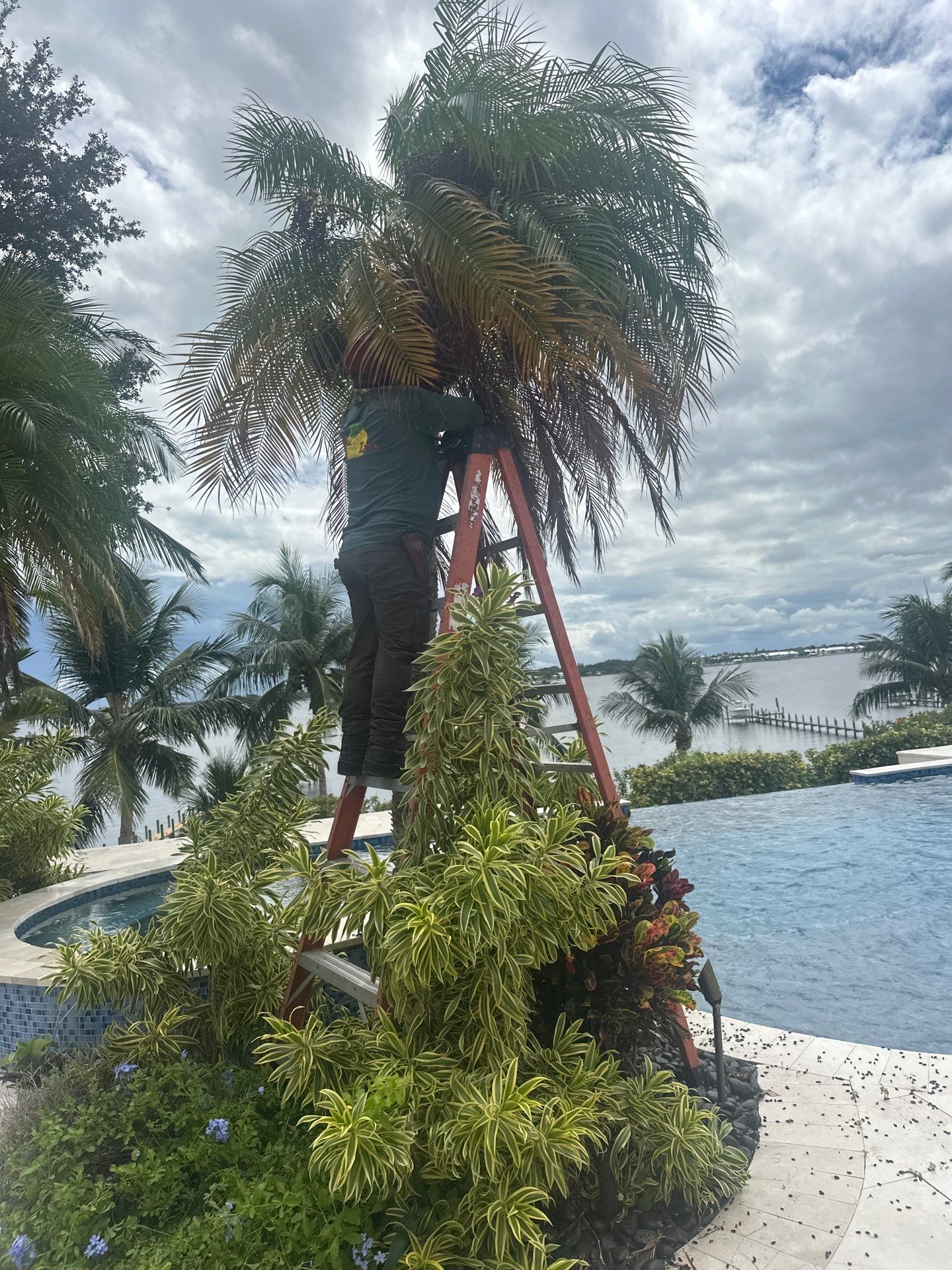 Sewall's Point Phase 1 - The Art of the Cutback by Alpha Zeta Enterprises Inc