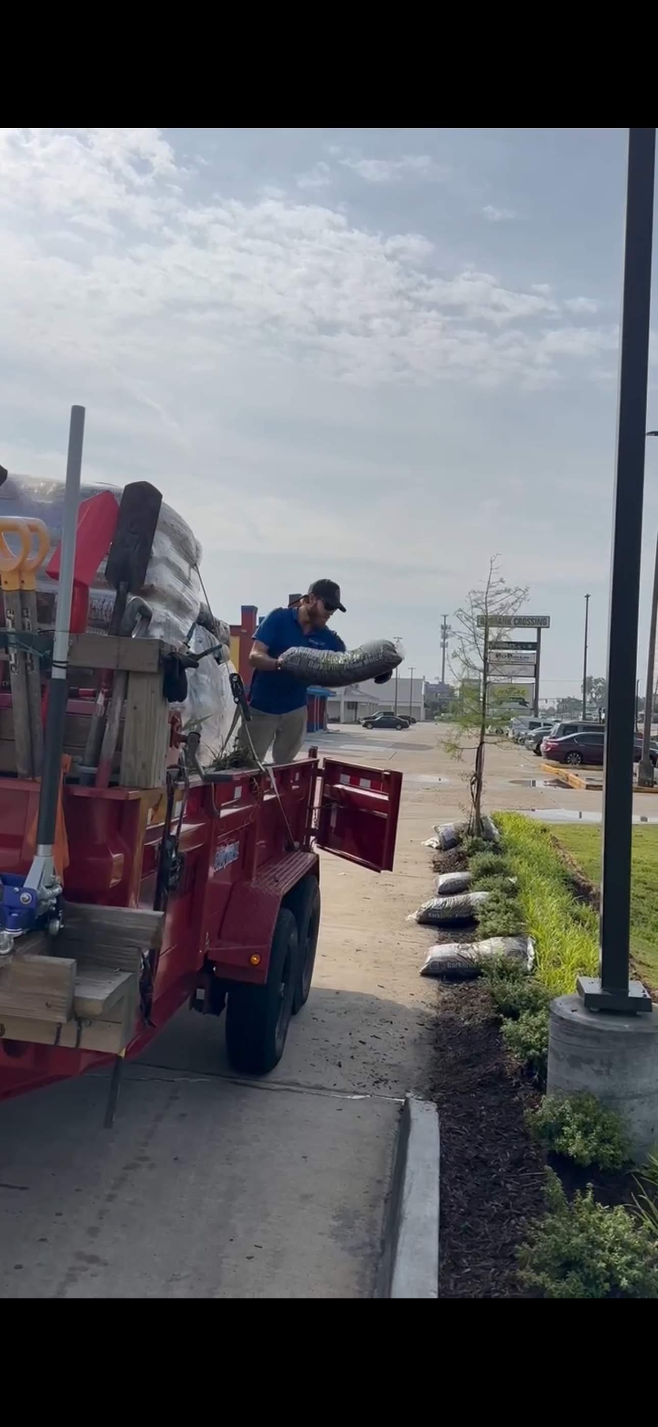 COMMERCIAL: HEDGE TRIM / BED CLEAN / MULCH INSTALL using BROWN MULCH "BARK BRITE" by CutScape, LLC.