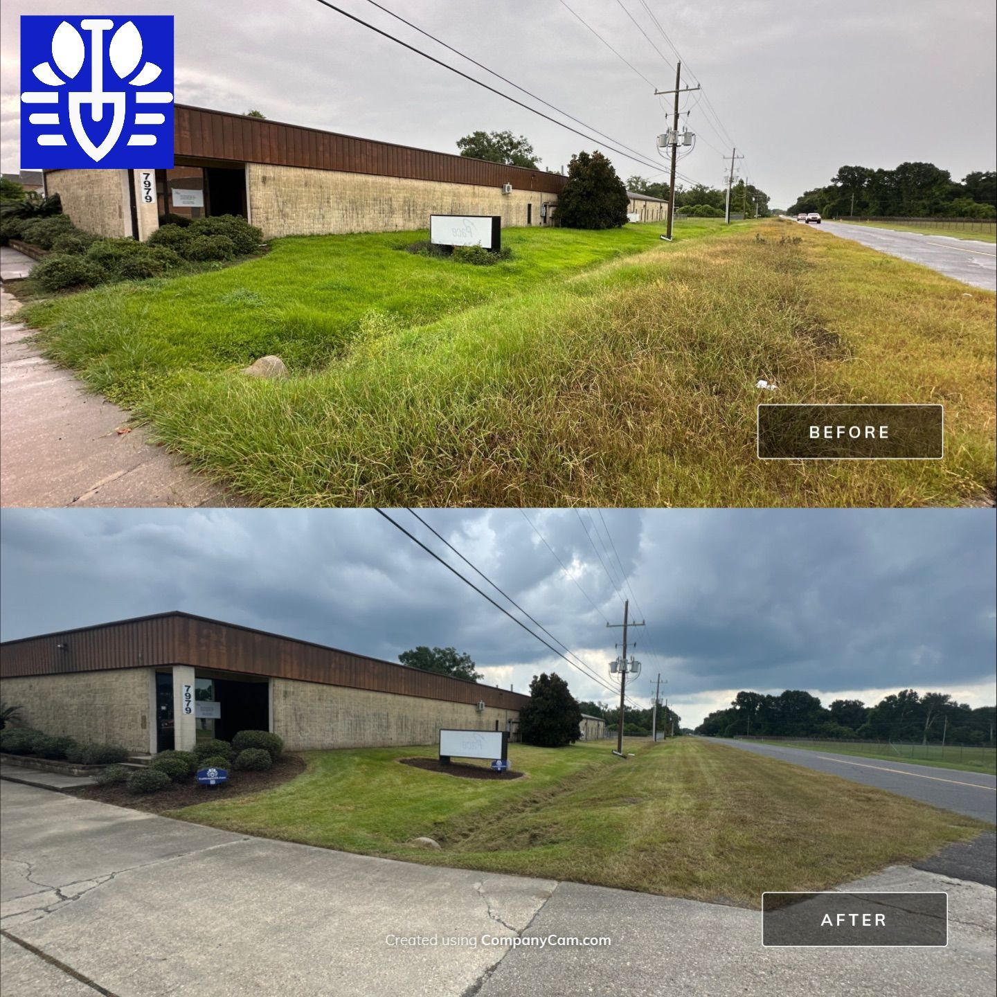 COMMERCIAL LAWN MAINTENANCE: ONE TIME CUT & LANDSCAPE CLEAN UP by CutScape, LLC.