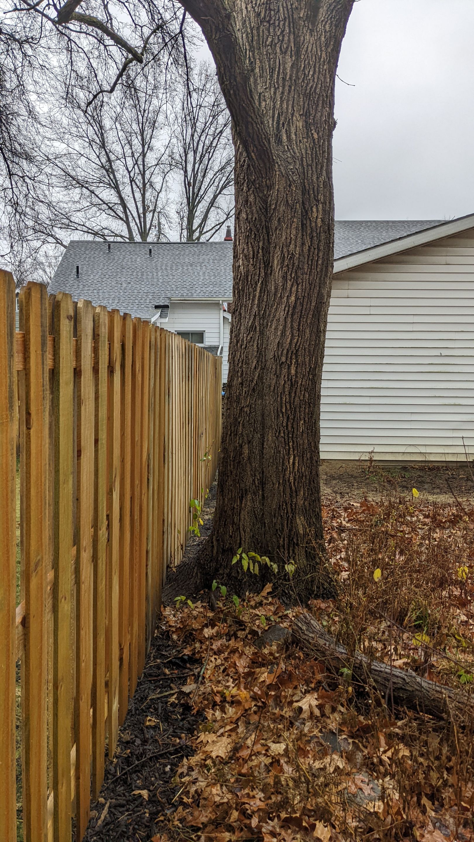 Tree Removal using Tree Removal by Mike Jones & Sons Tree Service LLC 