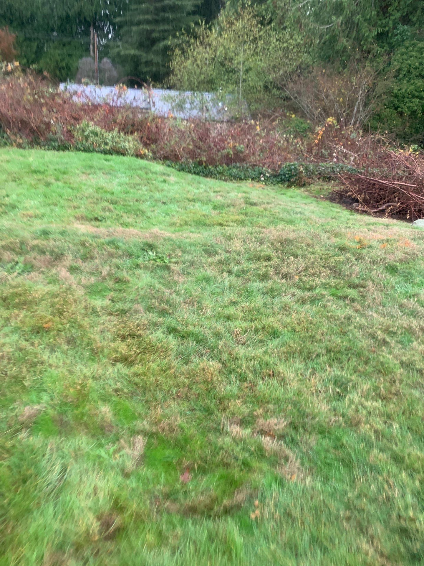 Sport Court |  Port Orchard by Jireh Asphalt & Concrete Inc 