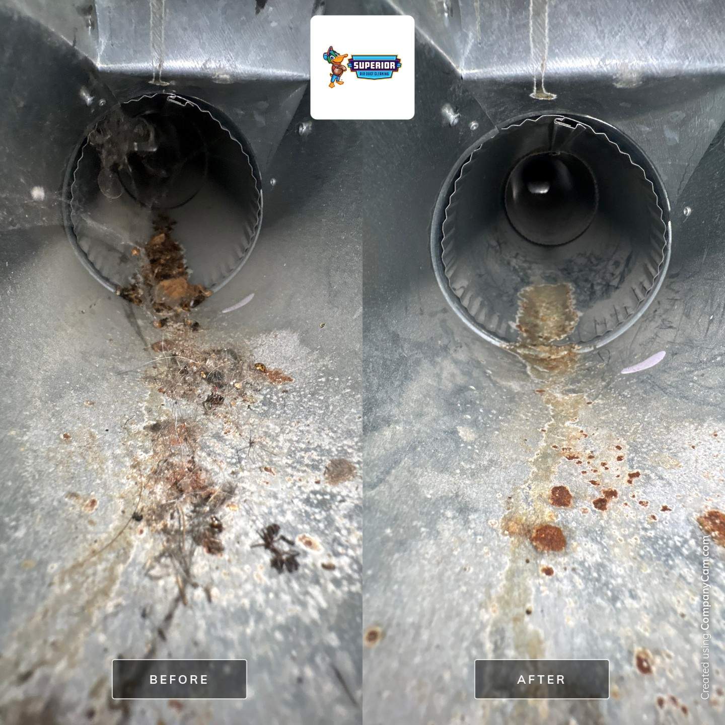 Air Duct Cleaning in East Liverpool, OH by Superior Air Duct Cleaning