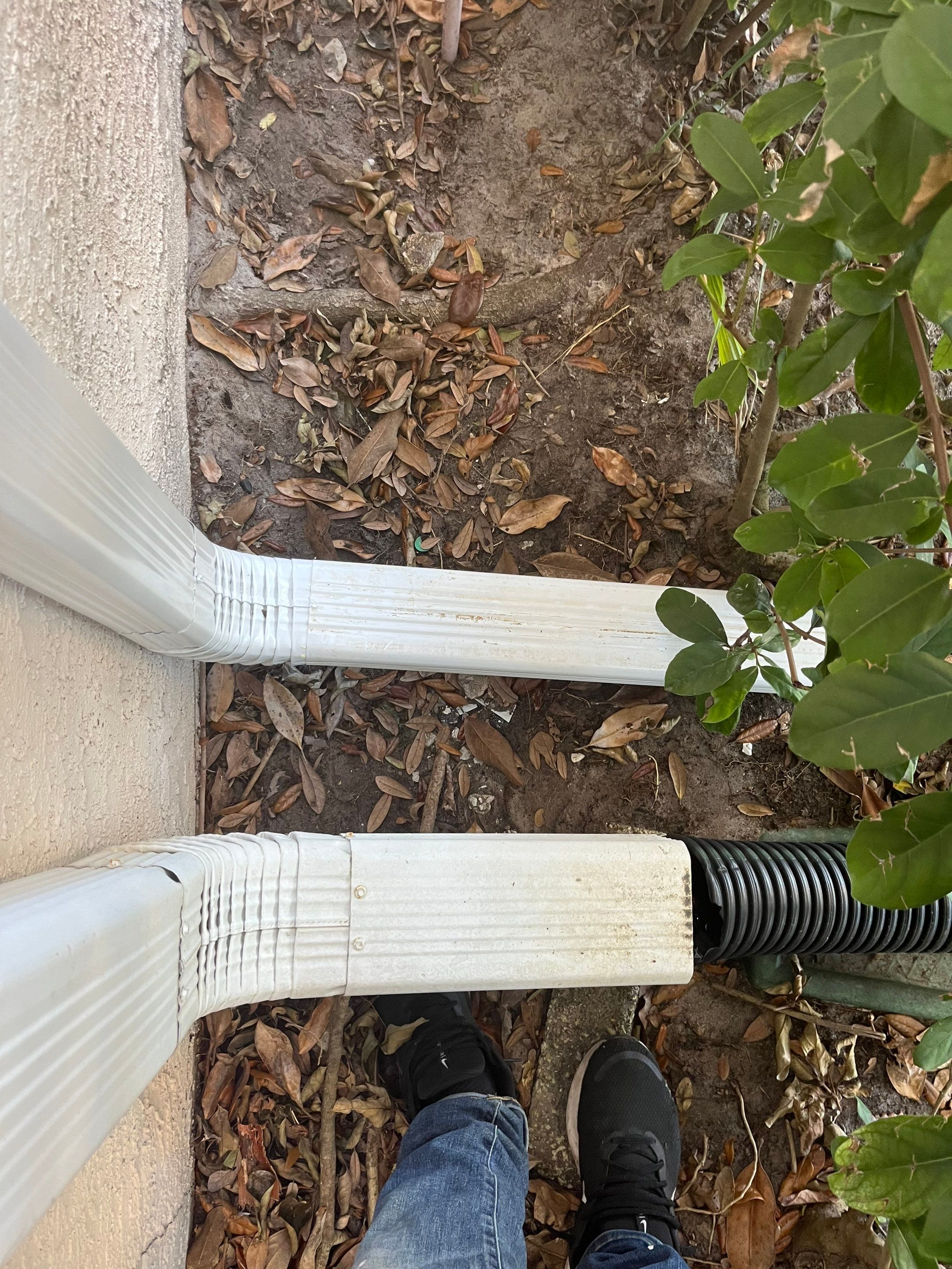 Gutter Cleaning Service in Fort Myers FL by Gutter Professors