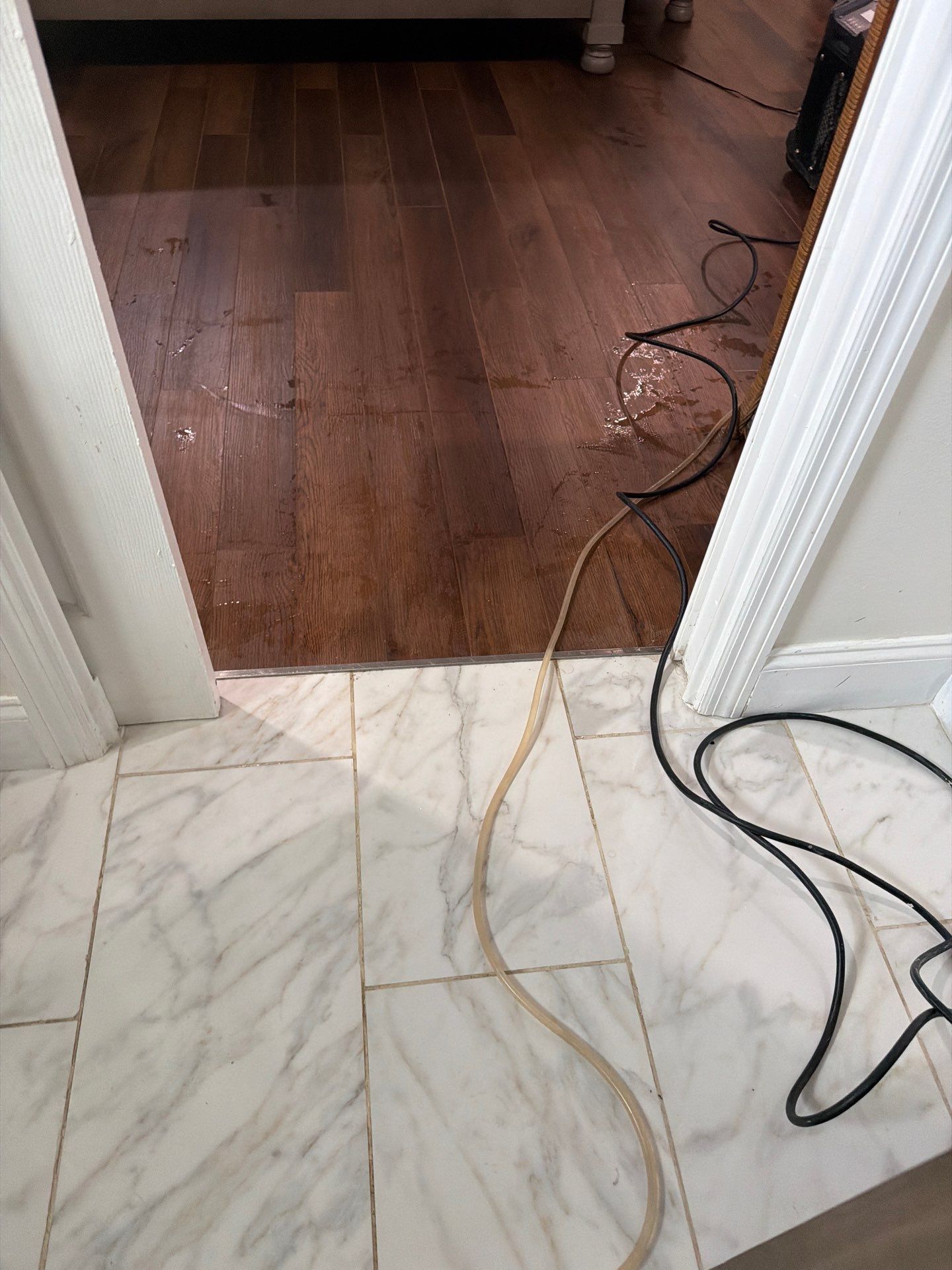 Emergency Water Extraction and Wood Floor Drying in Royal Palm Beach by SuperClean