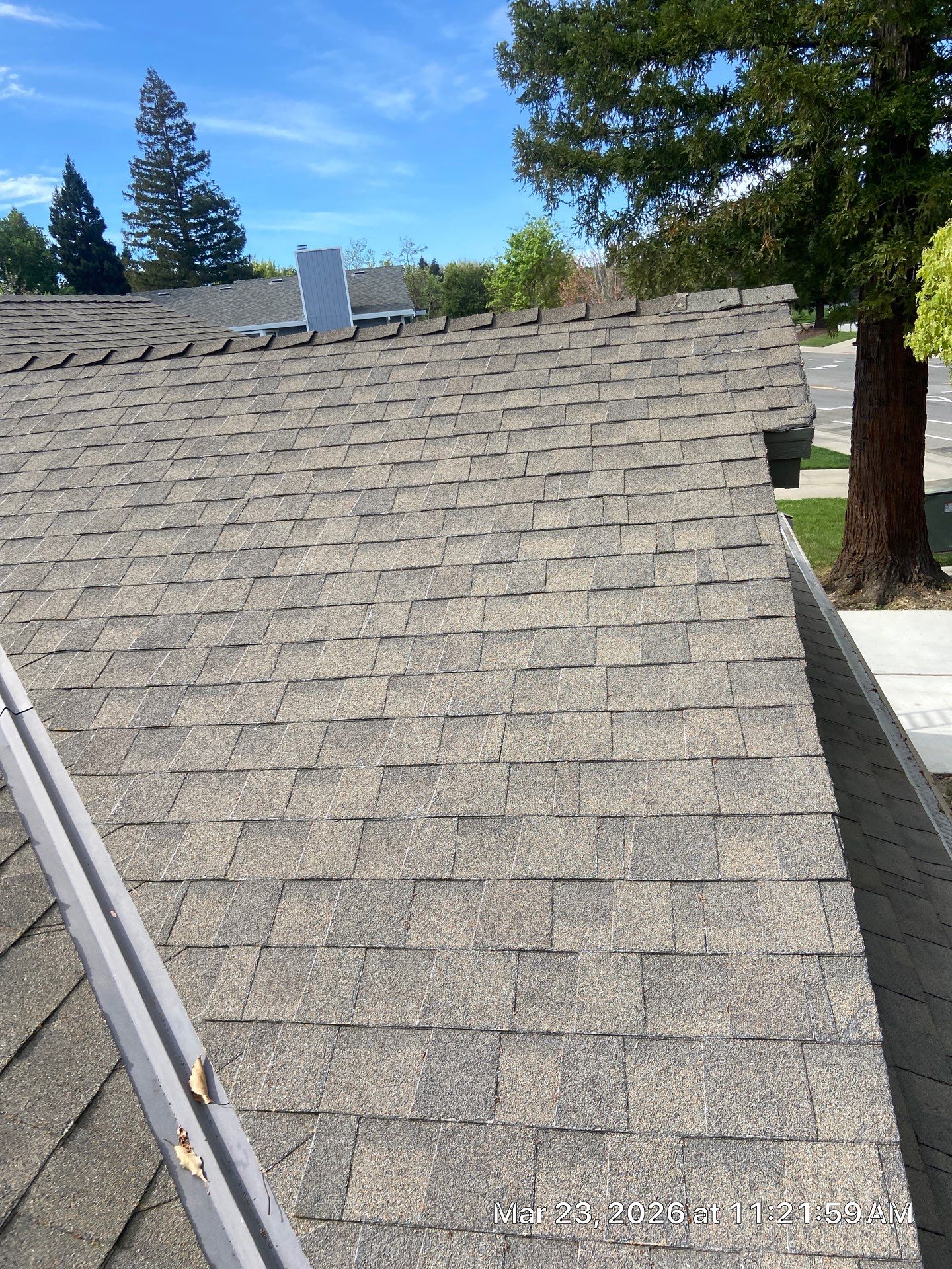 Roof Rejuvenation using Roof Maxx Treatment by Roof Maxx of Folsom