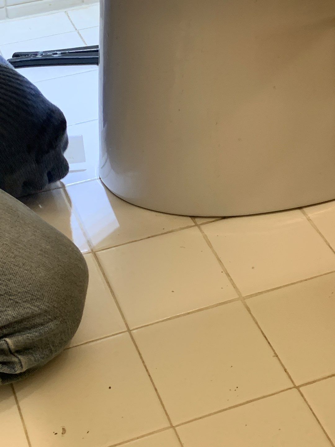 Toilet Leak Repair by A1 NERDY HOMES LLC
