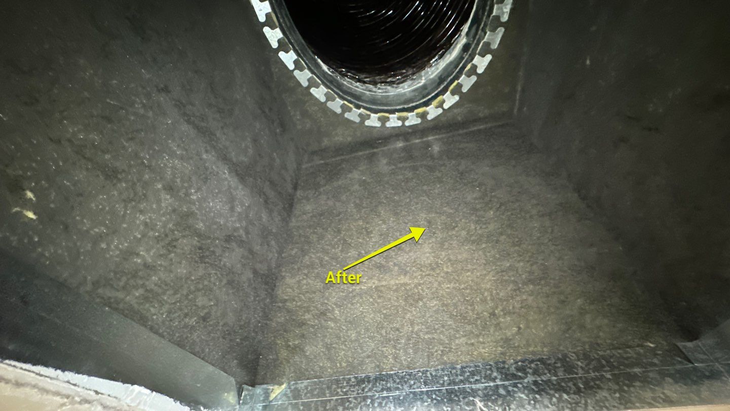 Air Duct Cleaning in Clermont by Hygienic Air, Inc