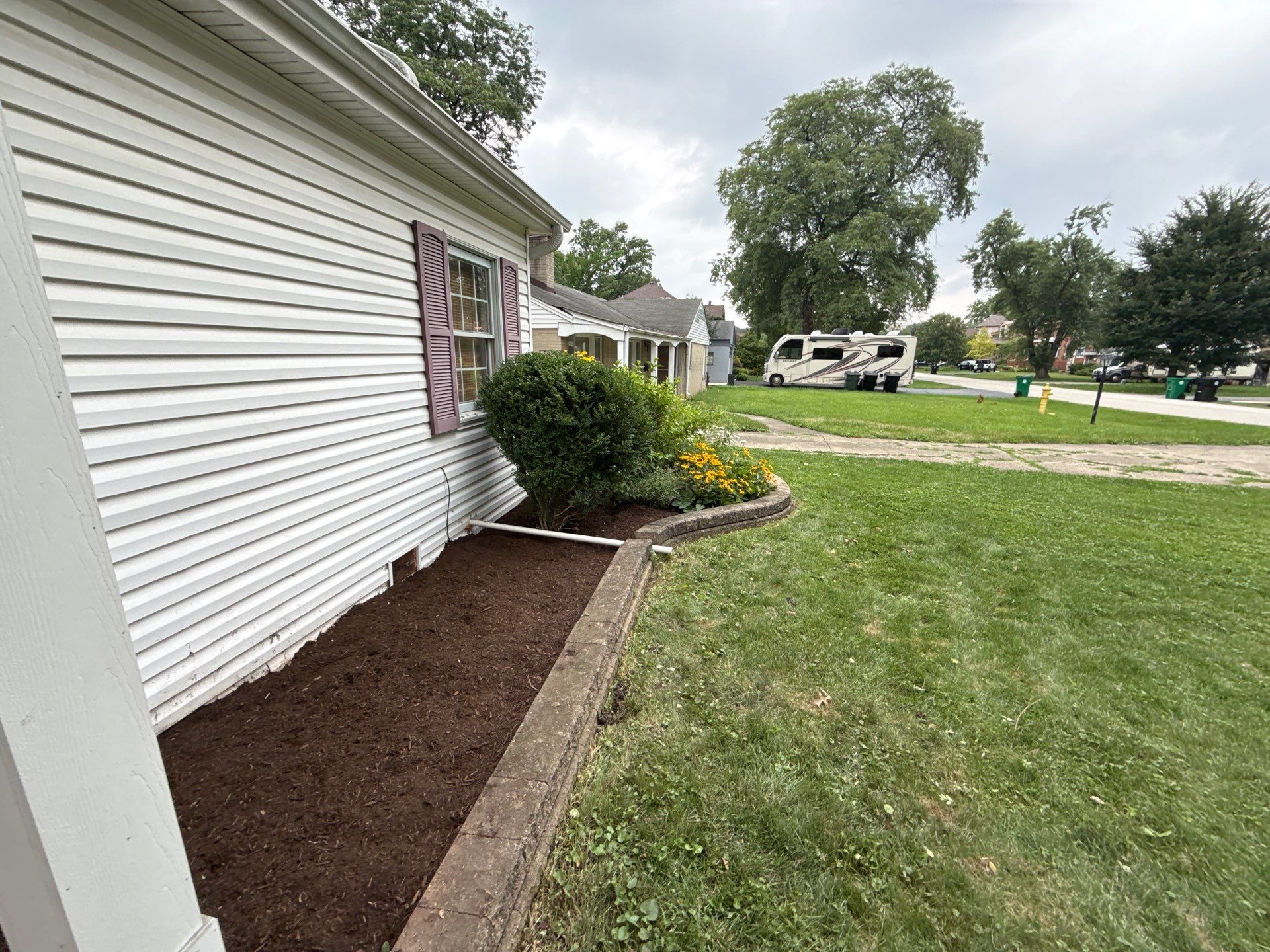 Steven L. - Park Ridge, IL by A&N