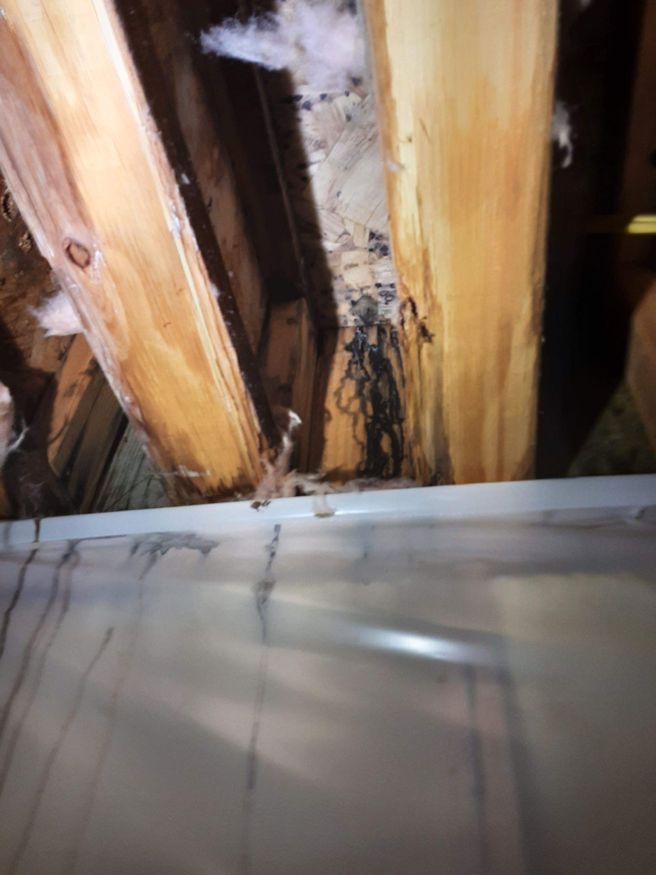 Interior water damage inspection by ASAP Roofing & Exteriors