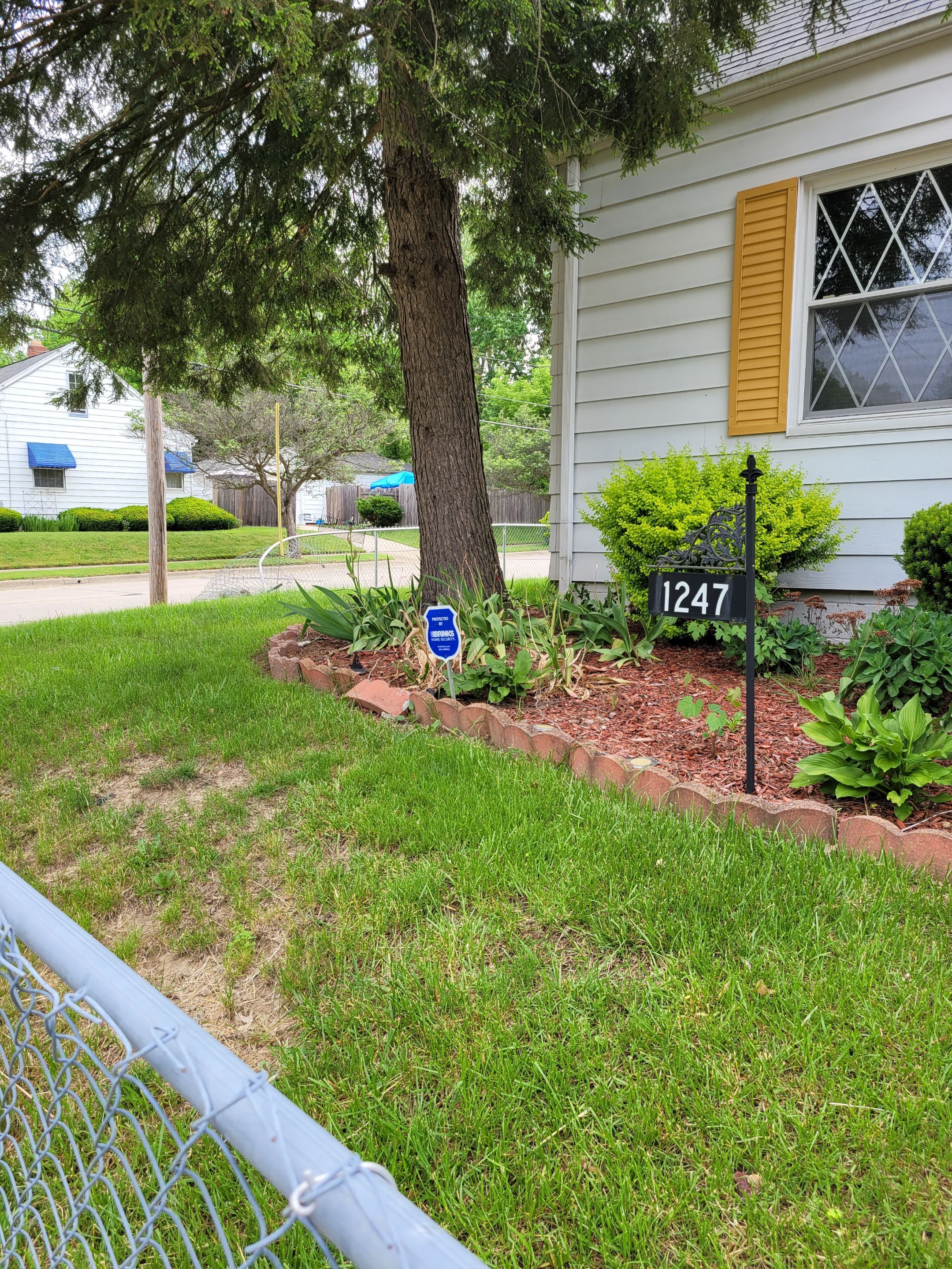 Tree Removal using Tree Removal by Mike Jones & Sons Tree Service LLC 