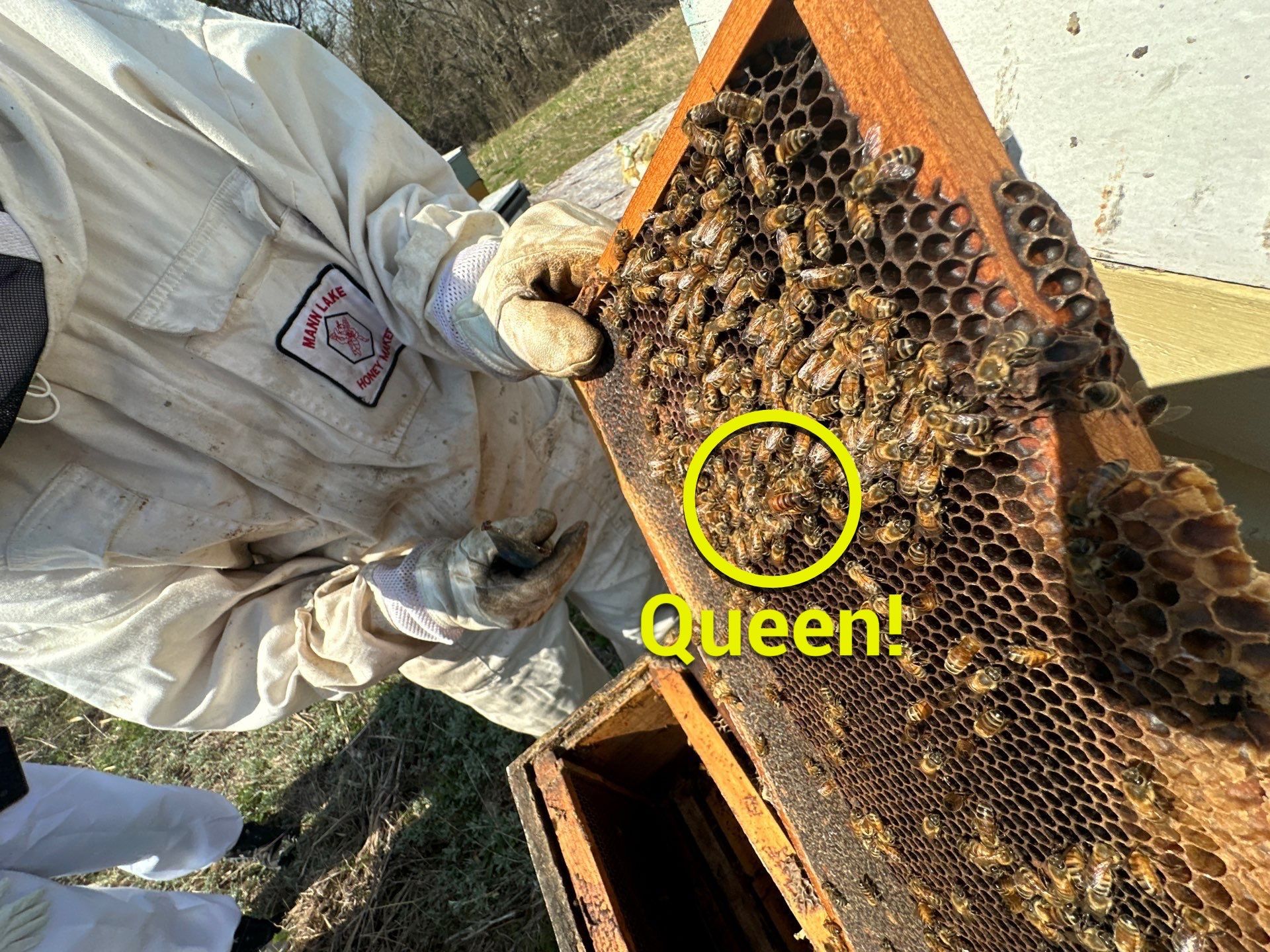 Teaching at an Apiary in Rowlett by Rockwall Honey Bee Company