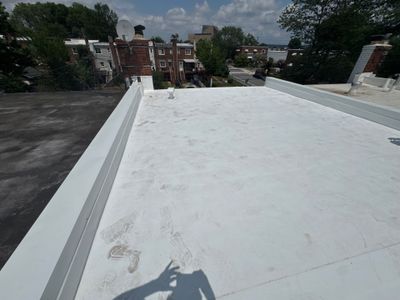 Alexandria Rowhouse TPO Flat Roof Replacement