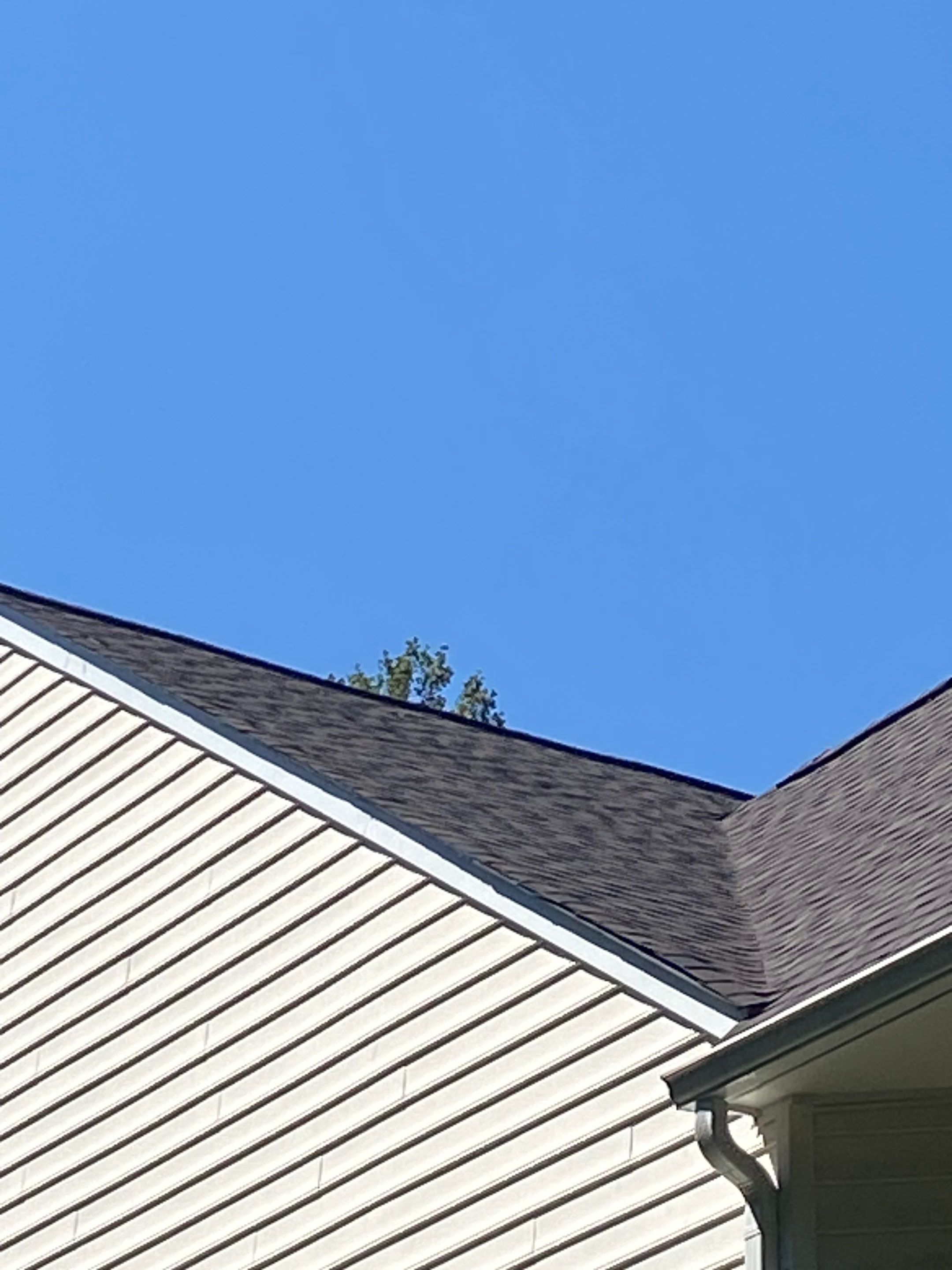 Fairfax station: Residential Roof with CertainTeed Landmark Pro in Max Def Shenandoah  by RM Banning, Inc.