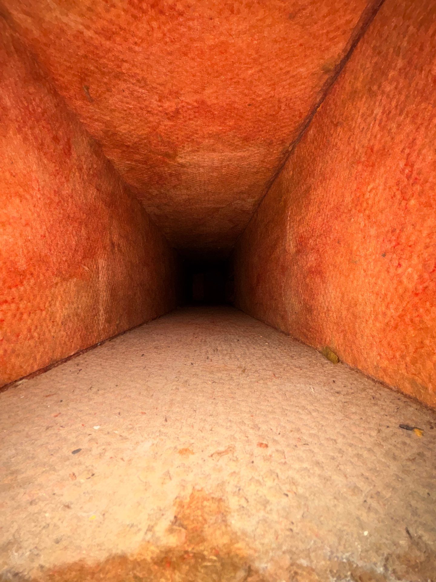Air Duct Cleaning in Clermont by Hygienic Air, Inc
