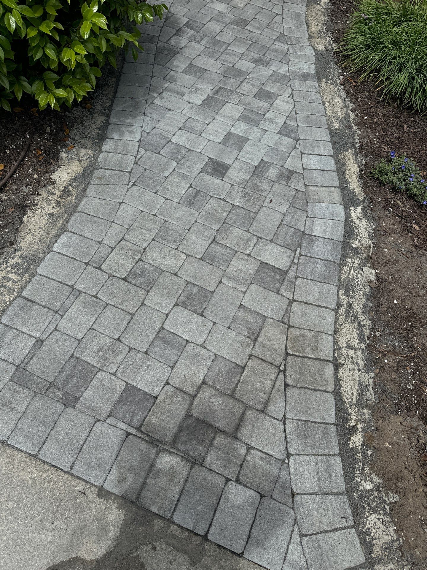 Custom Herringbone Paver Walkway and Entryway in Hilton Head Island by Lowcountry Scapes, LLC