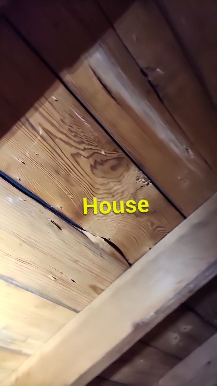 Wind-Resistant Metal Slate Roof Installation in Ossian, Indiana by 4Ever Metal Roofing