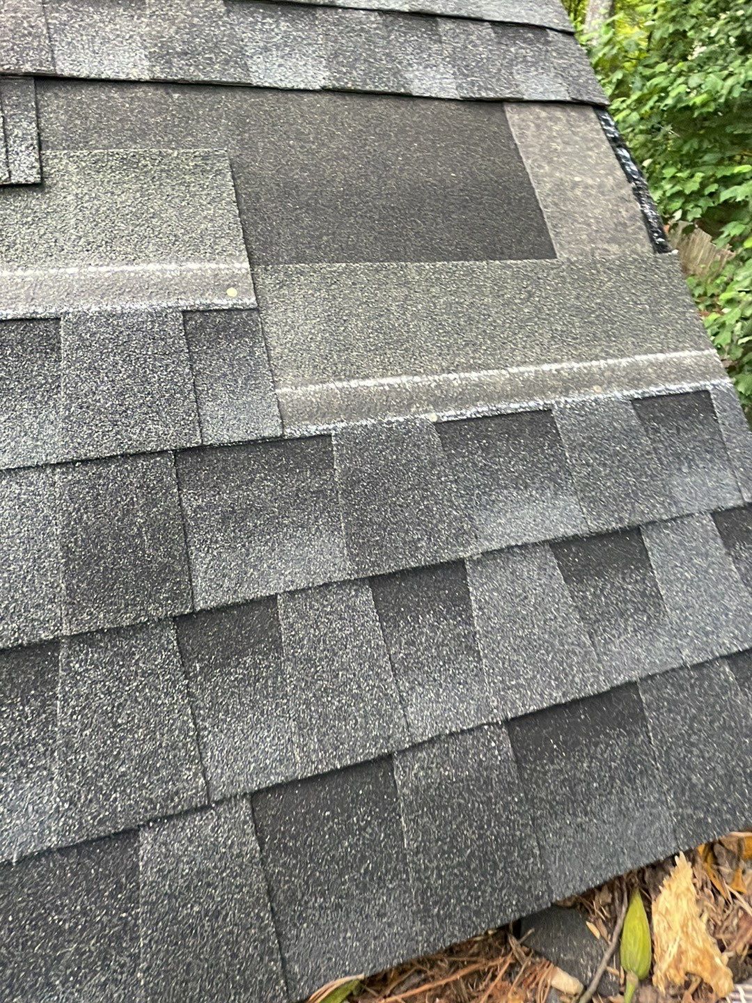 🌳 Tree Limb Hole Repair by Georgia Roof Advisors