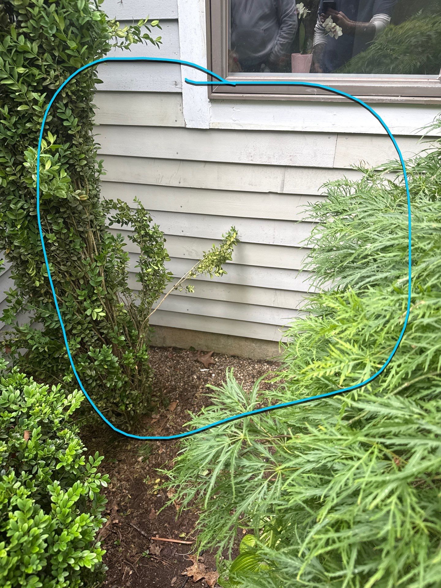 Siding | Concord by Mighty Dog Roofing of Greater Middlesex County