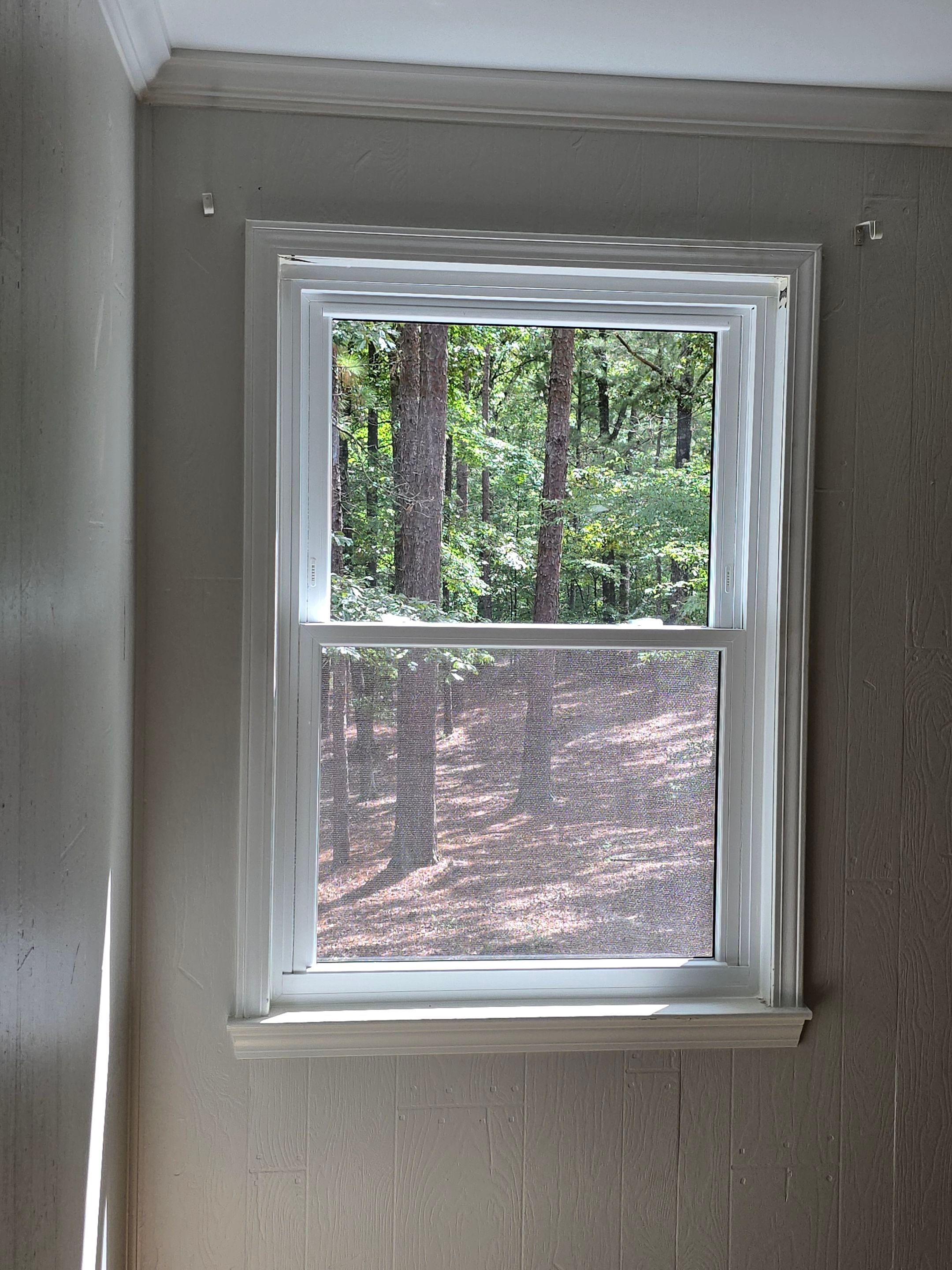 Reed Project in Chelsea by The Window Source