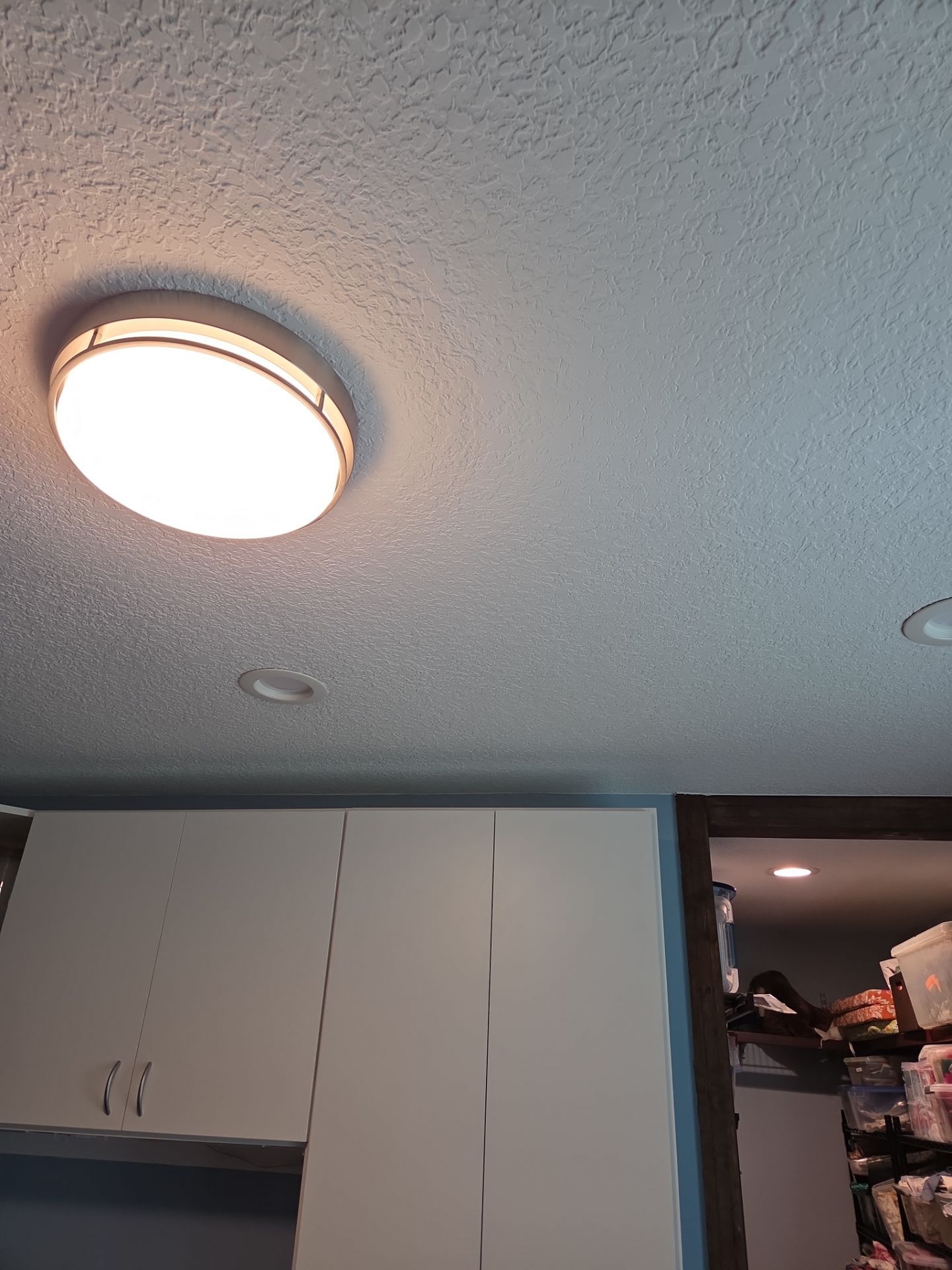 Premium LED Holiday Lighting Installation | Longwood, FL 32779 by Smartron Electric