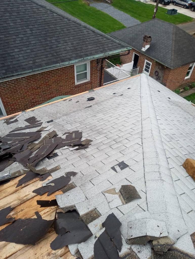 Silver Birch Shingles by Reimagine Roofing
