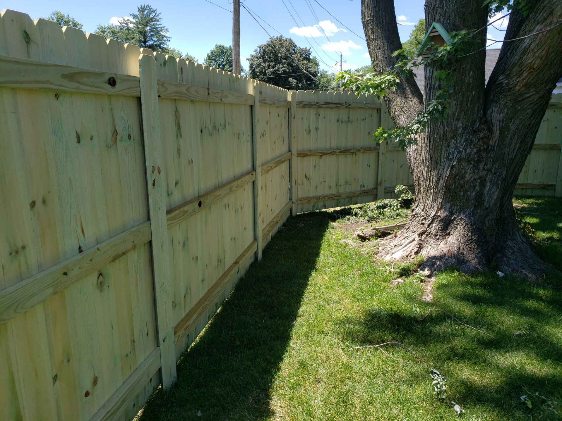 Pressure-Treated Pine Privacy Fence Replacement in Waterloo, Iowa by Perfect Picket Fence and Stain