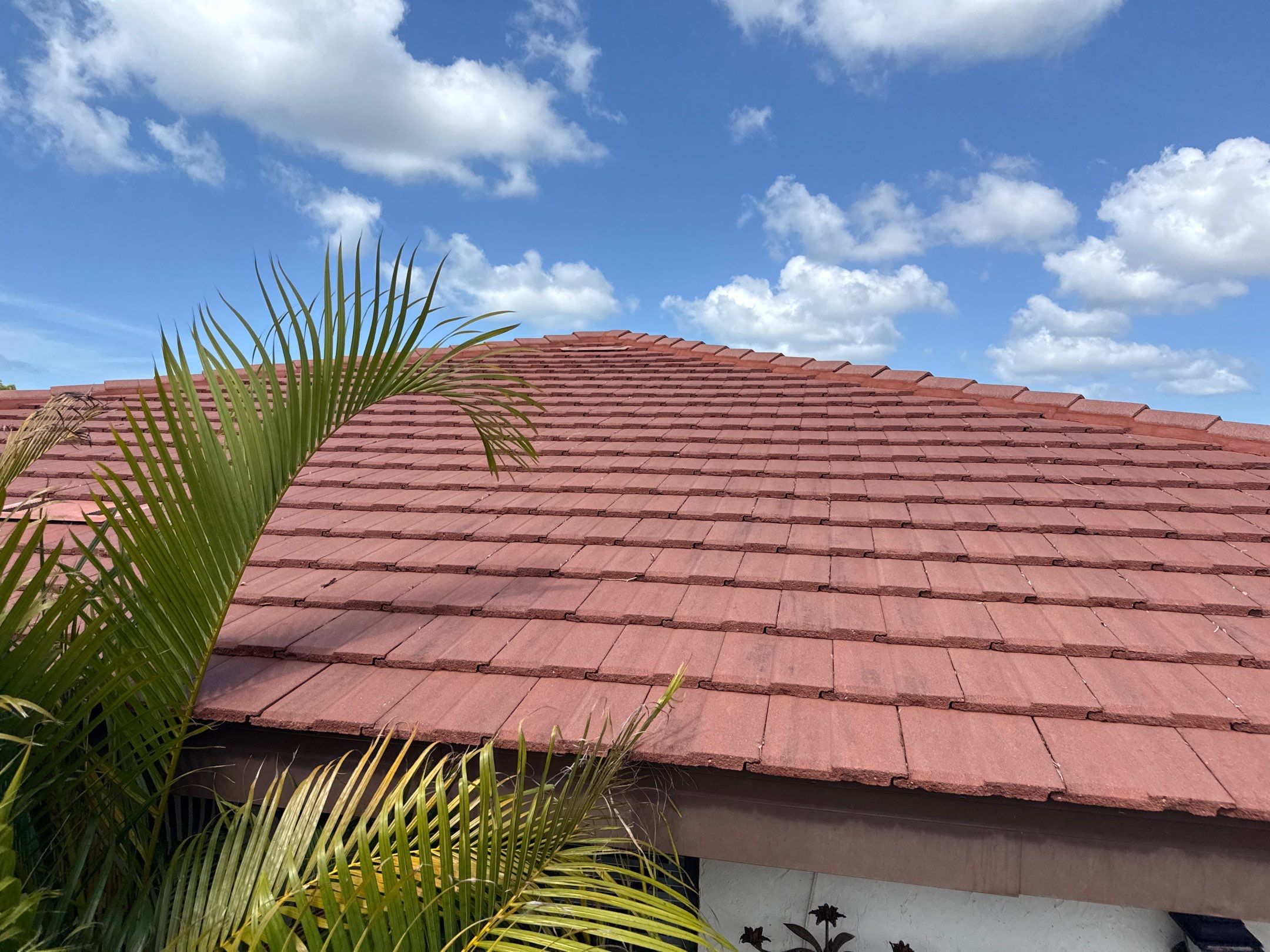 Tile Roof Cleaning in Vivienda at Bradenton, FL | No Roof Walking Method by Sunshine AquaWash
