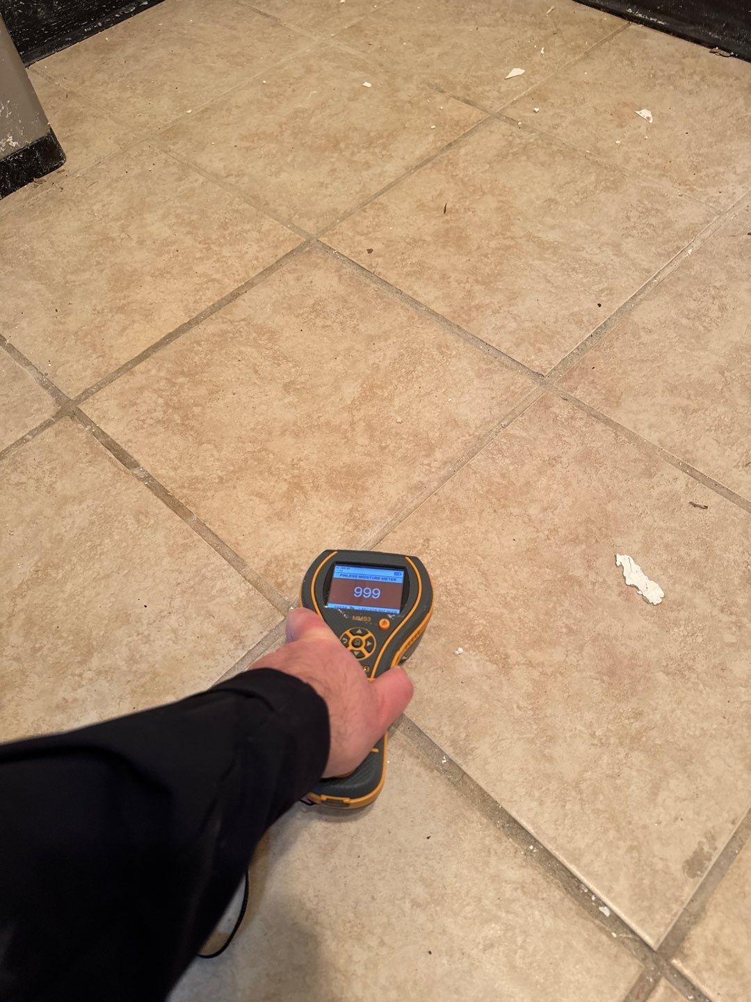 Project in Commerce Twp by EzDry Water Mitigation & Property Restoration