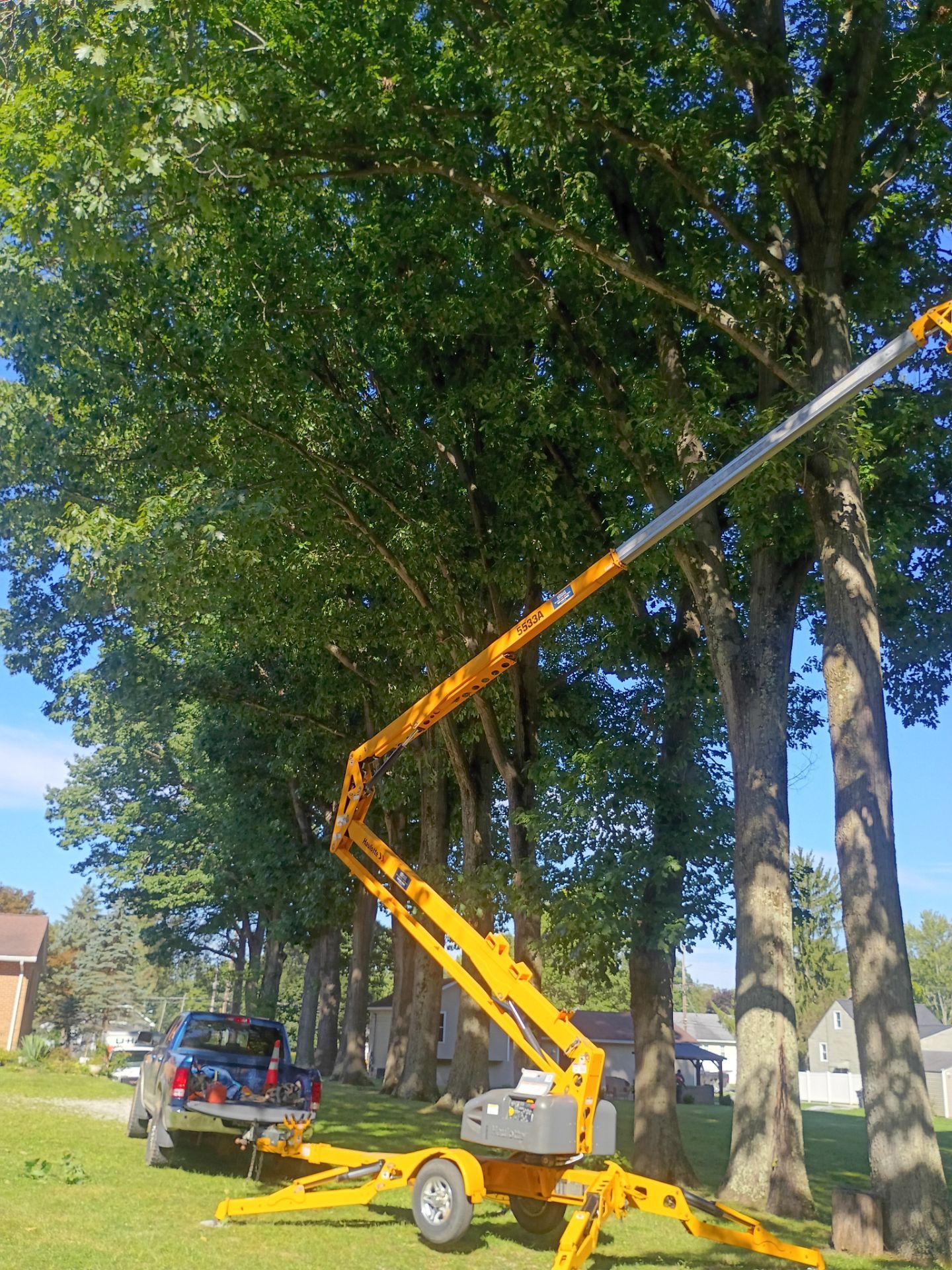 Tree Trimming & Tree Removal in Akron Ohio by Mike Jones & Sons Tree Service LLC 