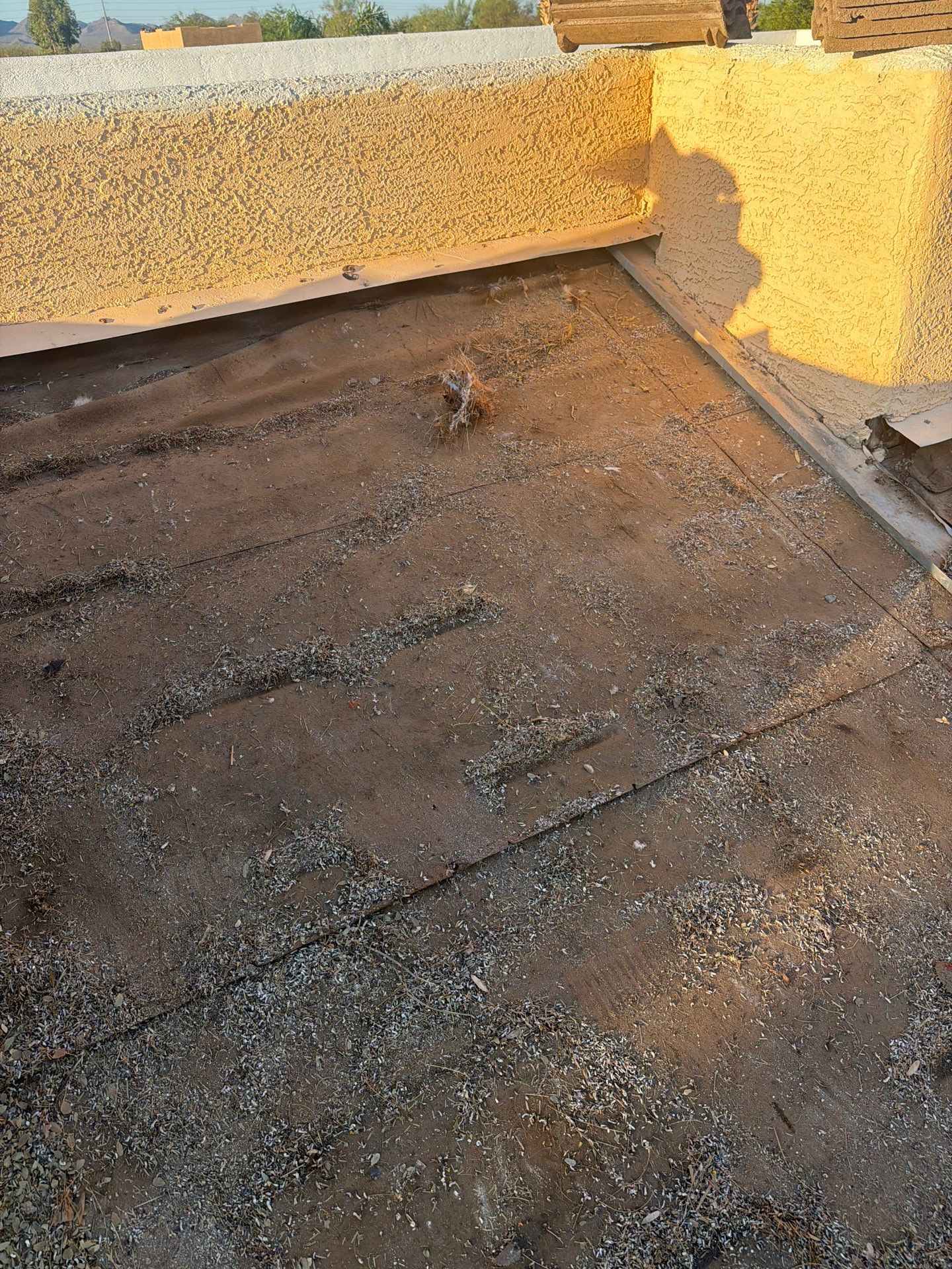Project in Wittmann, AZ by Showtime Roofing & Coatings LLC