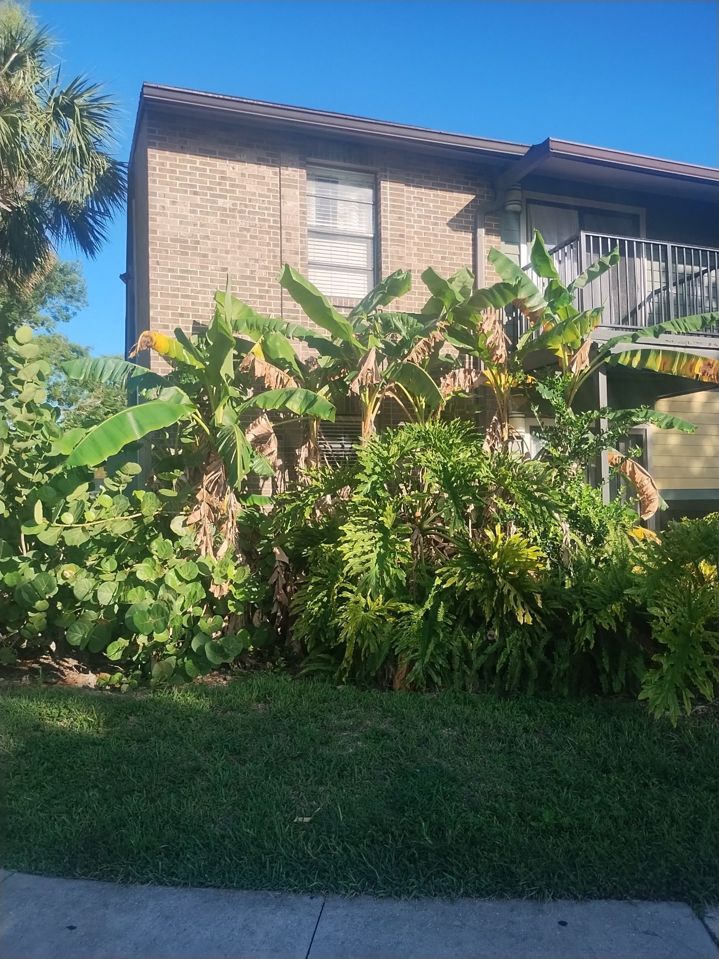 Residential Gutter System Upgrade in Fort Myers FL - 27 Building And Club House by Gutter Professors