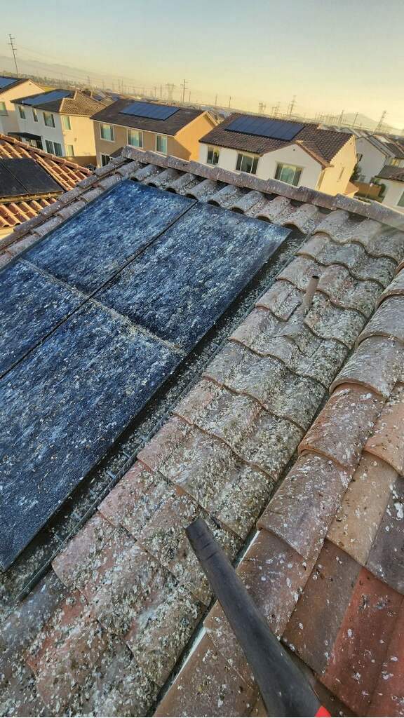 Bird Proofing Solar Panels in Ontario Ca by Palm Coast Solar Cleaning