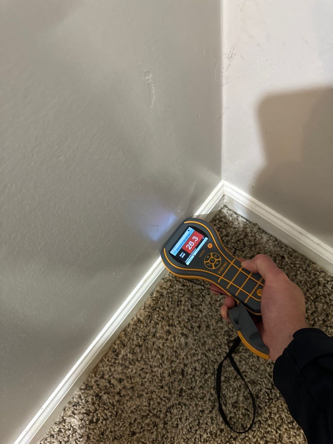 Project in South Lyon by EzDry Water Mitigation & Property Restoration