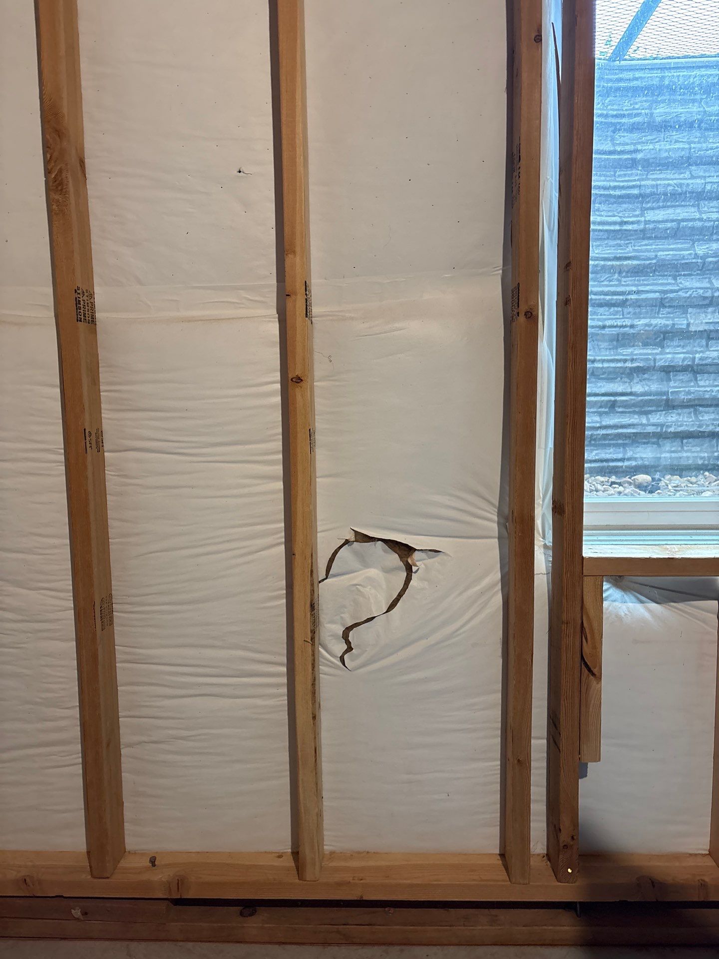 Basement Egress Window Installation and Framing in Wellington by CompanyCam Sales Demo