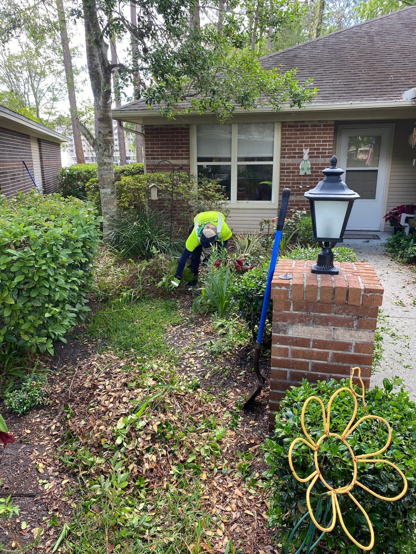 Residential | Volunteer Clean-Up by ProGreen Services