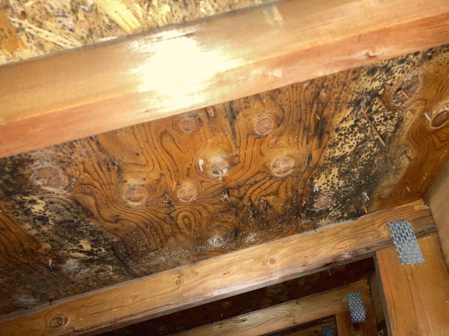 Mold Remediation in Attic by Accountable Home Services