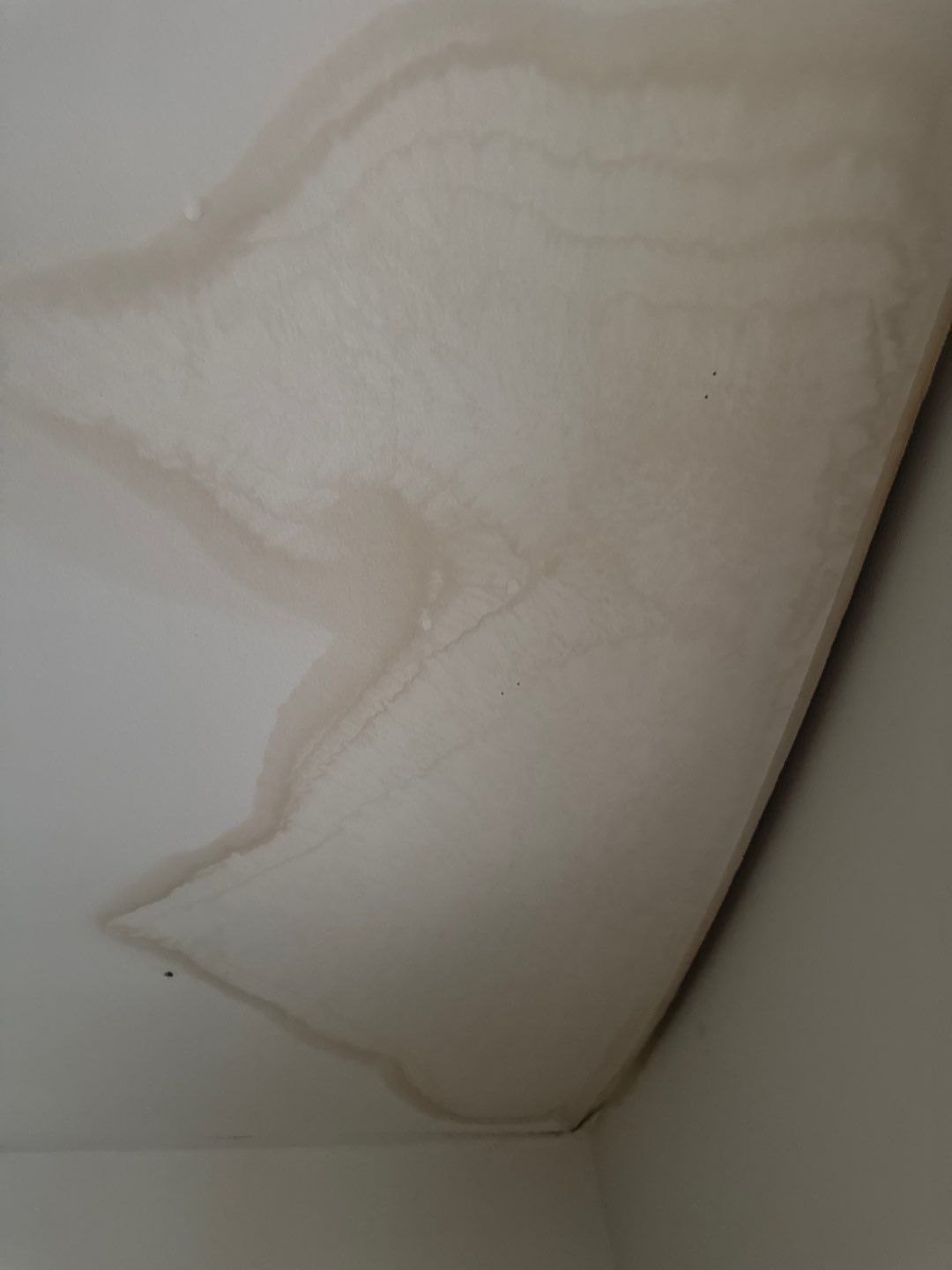 Project in Sterling Heights by EzDry Water Mitigation & Property Restoration