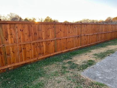 New Fence Stain Project 