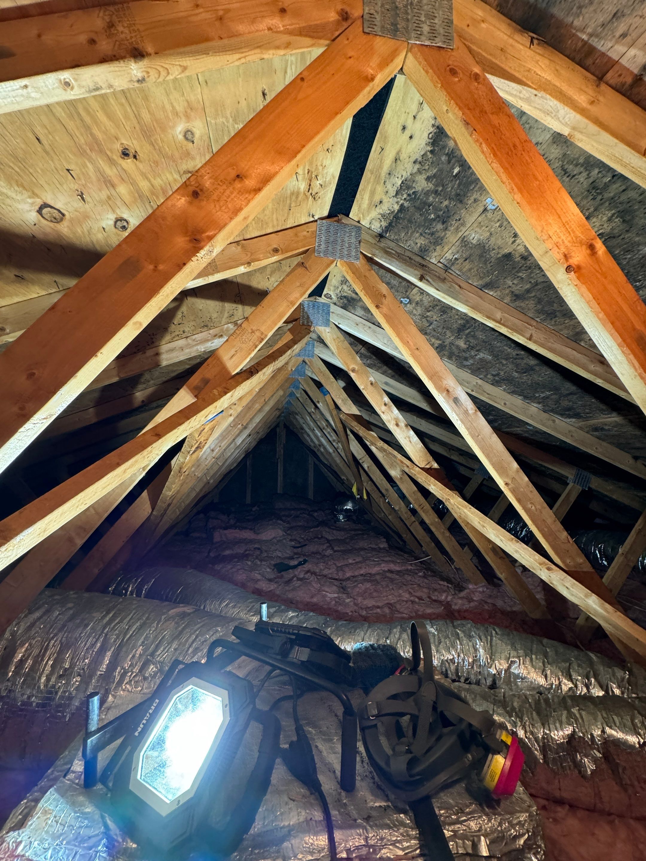 Attic Mold Remediation by Home Guarantee, LLC