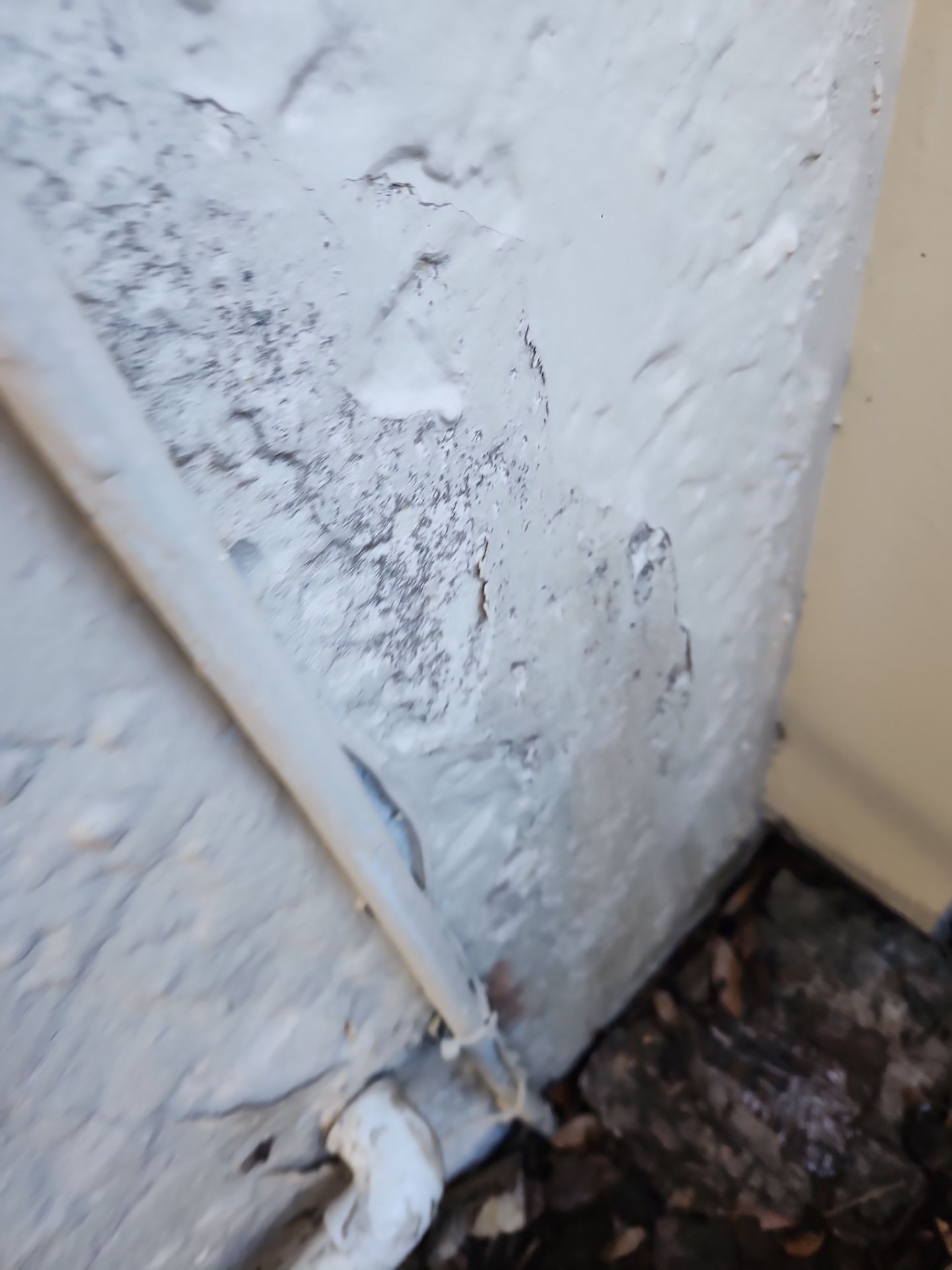 Project in Largo by Sunbelt Home Solutions