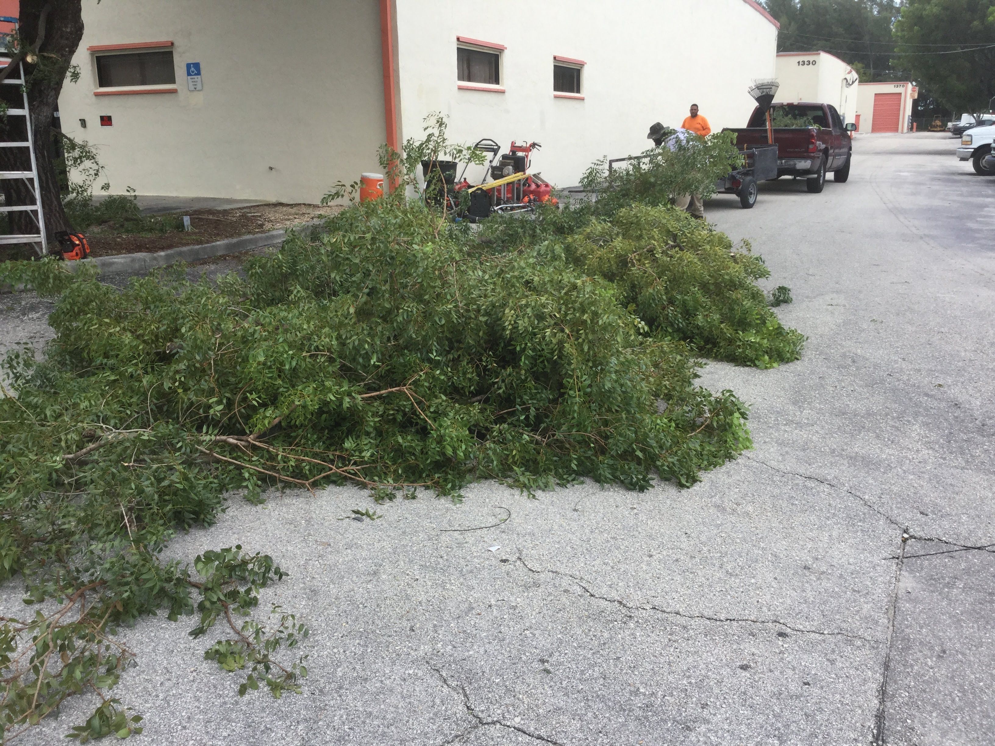 Commercial Tree Trimming & Debris Removal by
M.A.B. Landscaping & Property Maintenance