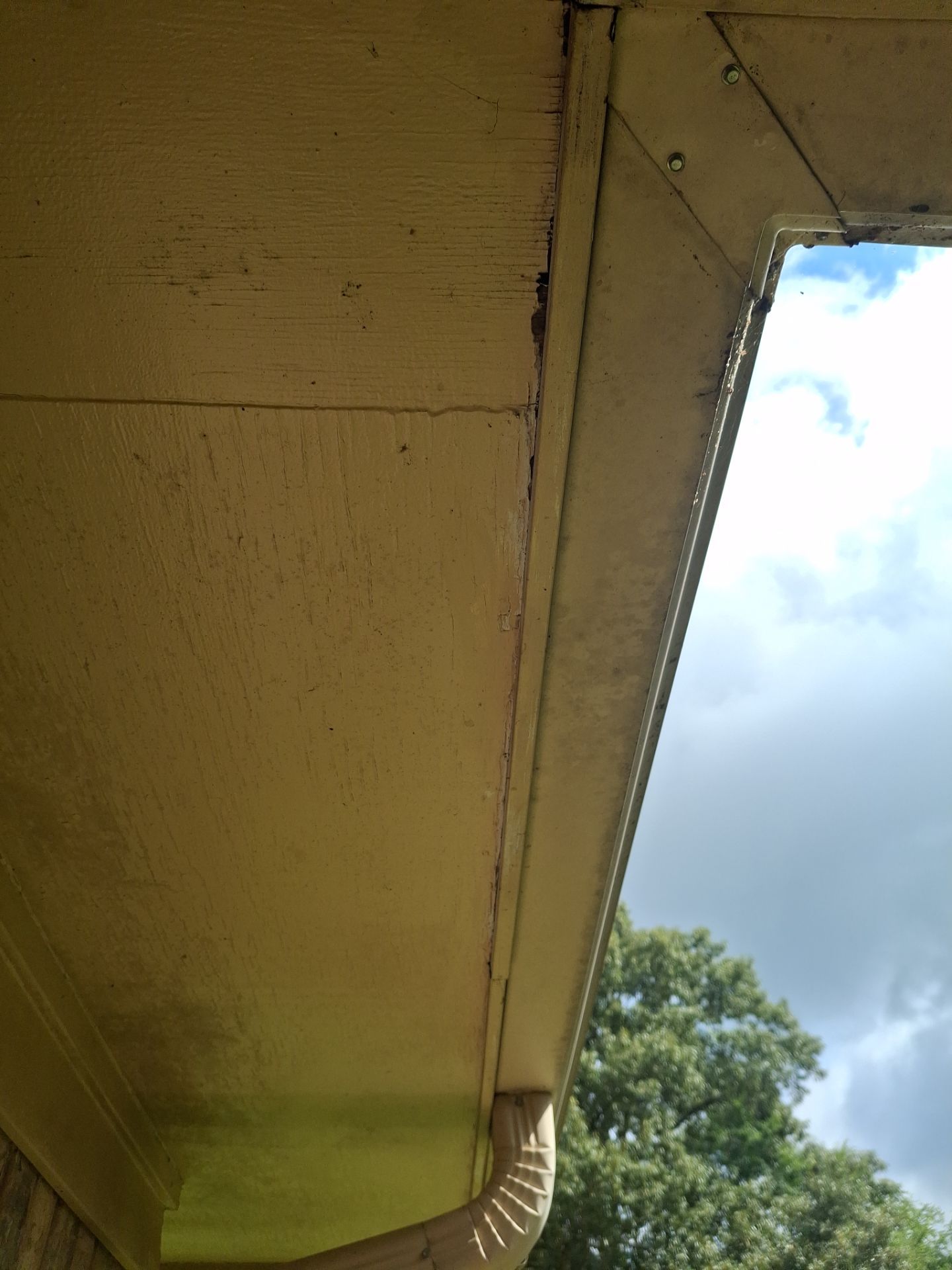 From Prep to Perfect Finish by Quality Coats Painting