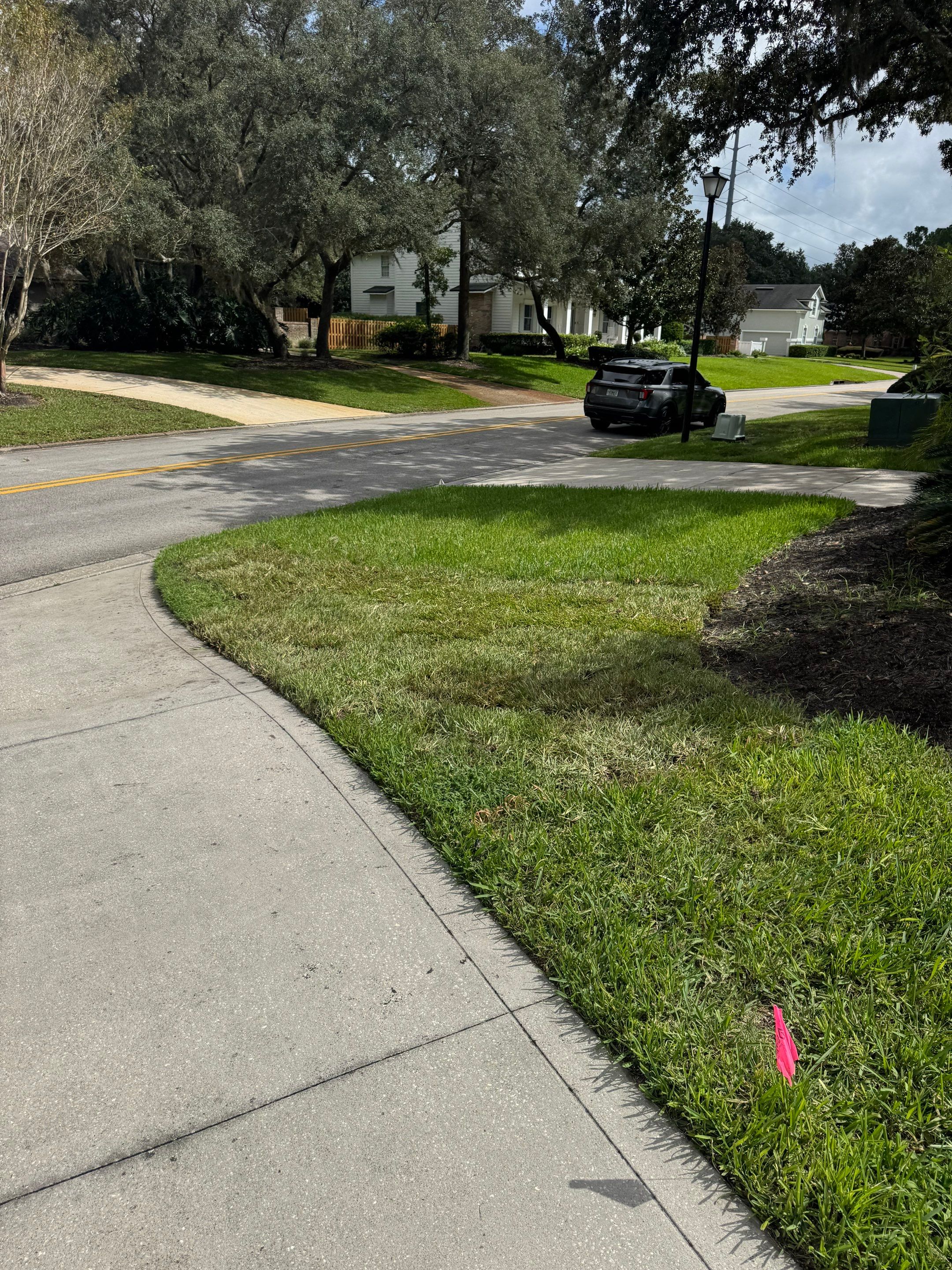 Deerwood Resident | Sod Installation by ProGreen Services