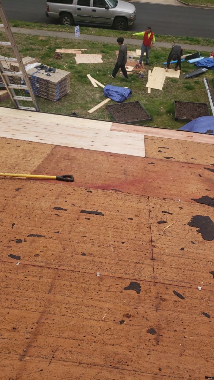 Annandale Landmark Pro MD Cobblestone Gray Project by RM Banning, Inc.