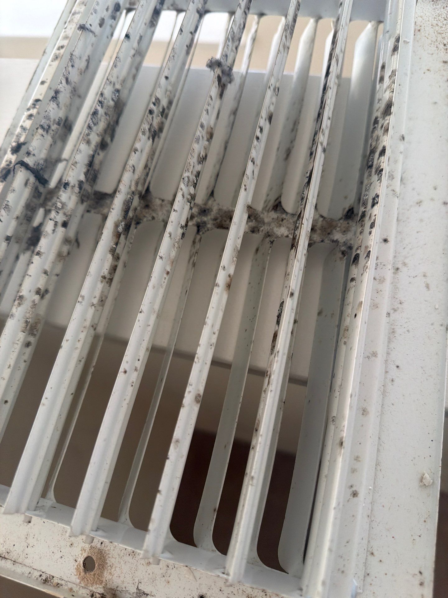 Air Duct Cleaning Encapsulation in Orlando by Hygienic Air, Inc