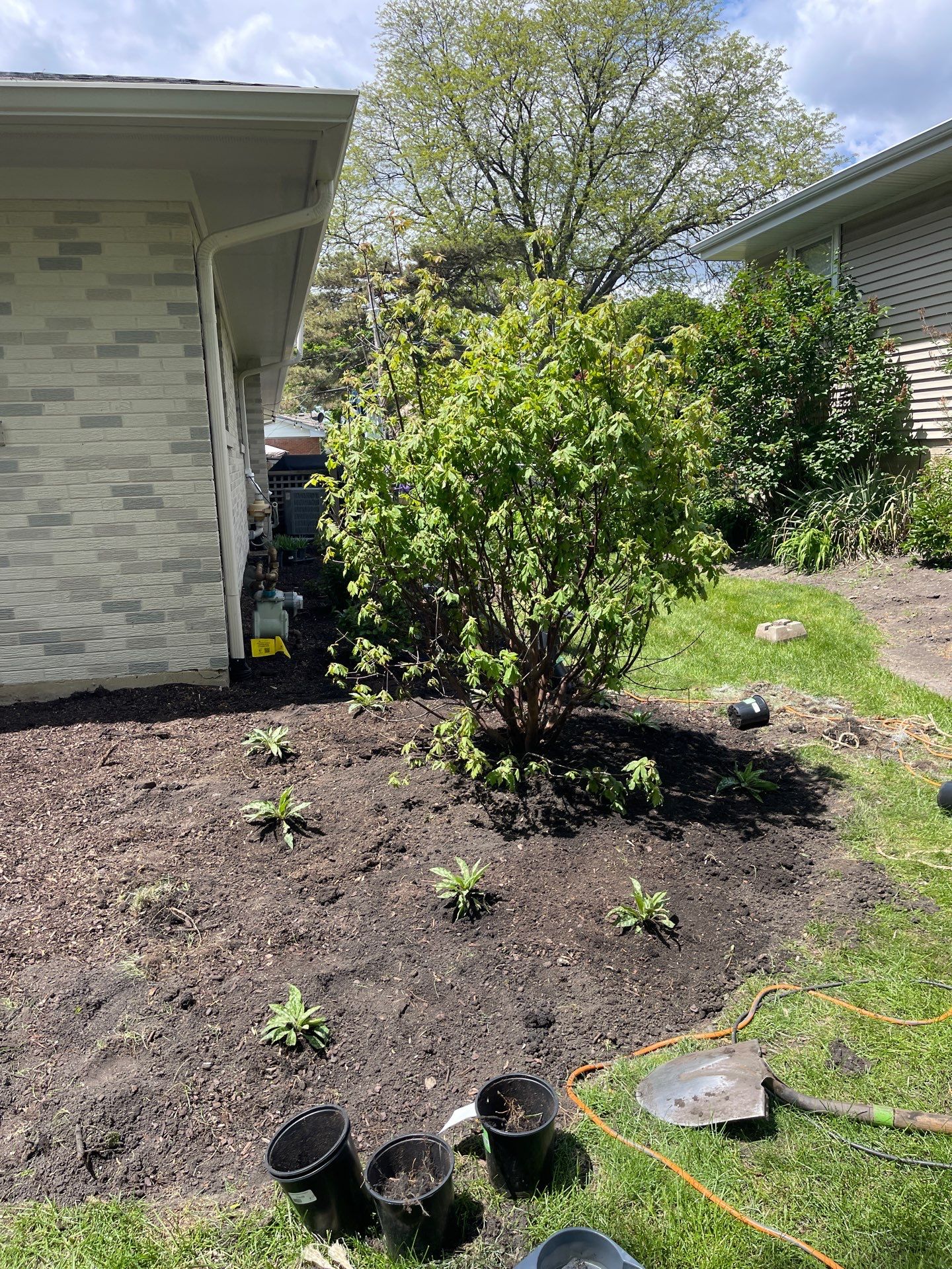 James F. - Arlington Heights, IL by A&N