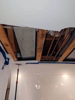 Mold Remediation and Water Mitigation in Louisville, KY