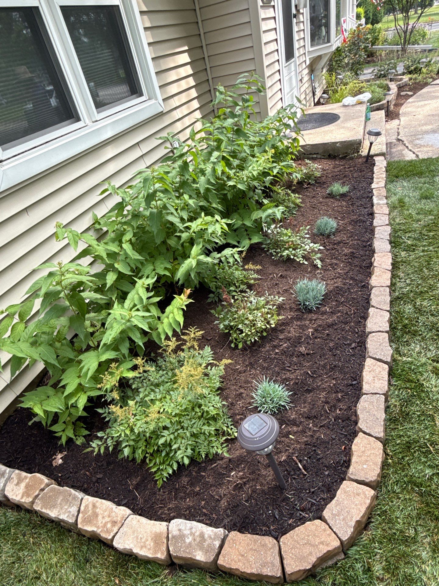 Allison C. - Arlington Heights, IL by A&N