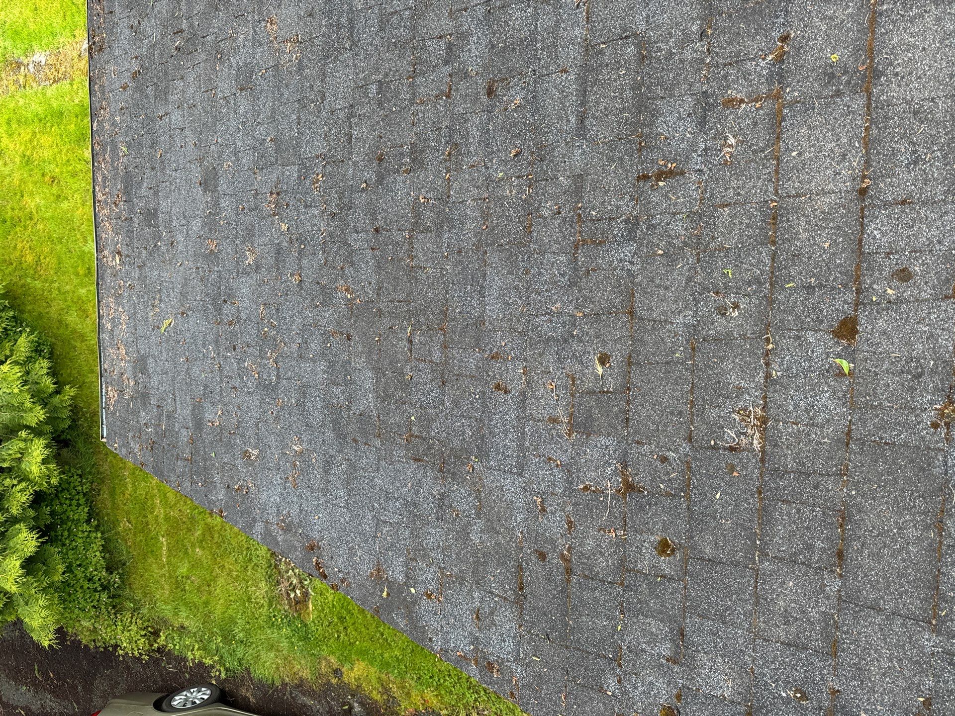 Project in Everett by Connolly Construction Company